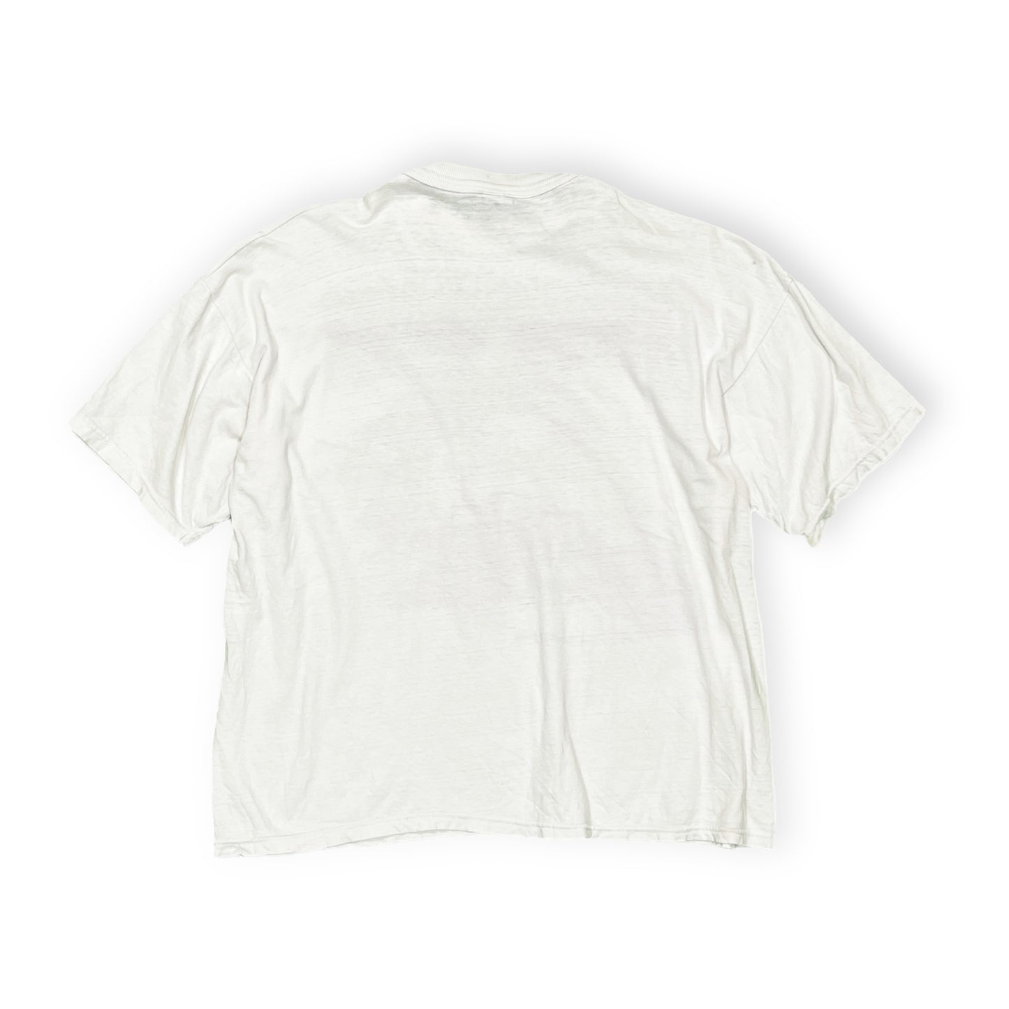 90's SIERRA TEEZ T-REX T Size (XL)