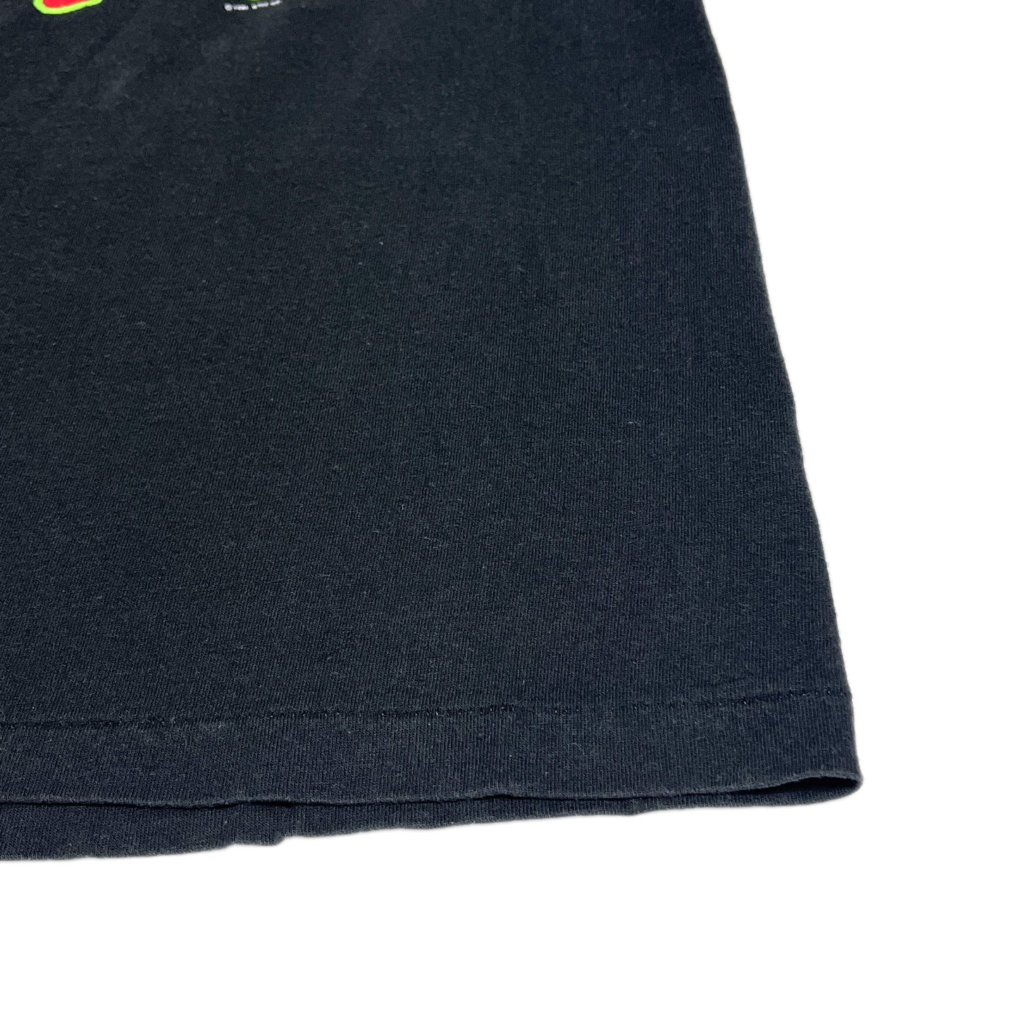 90's Hanes Living Colour T Size (L)