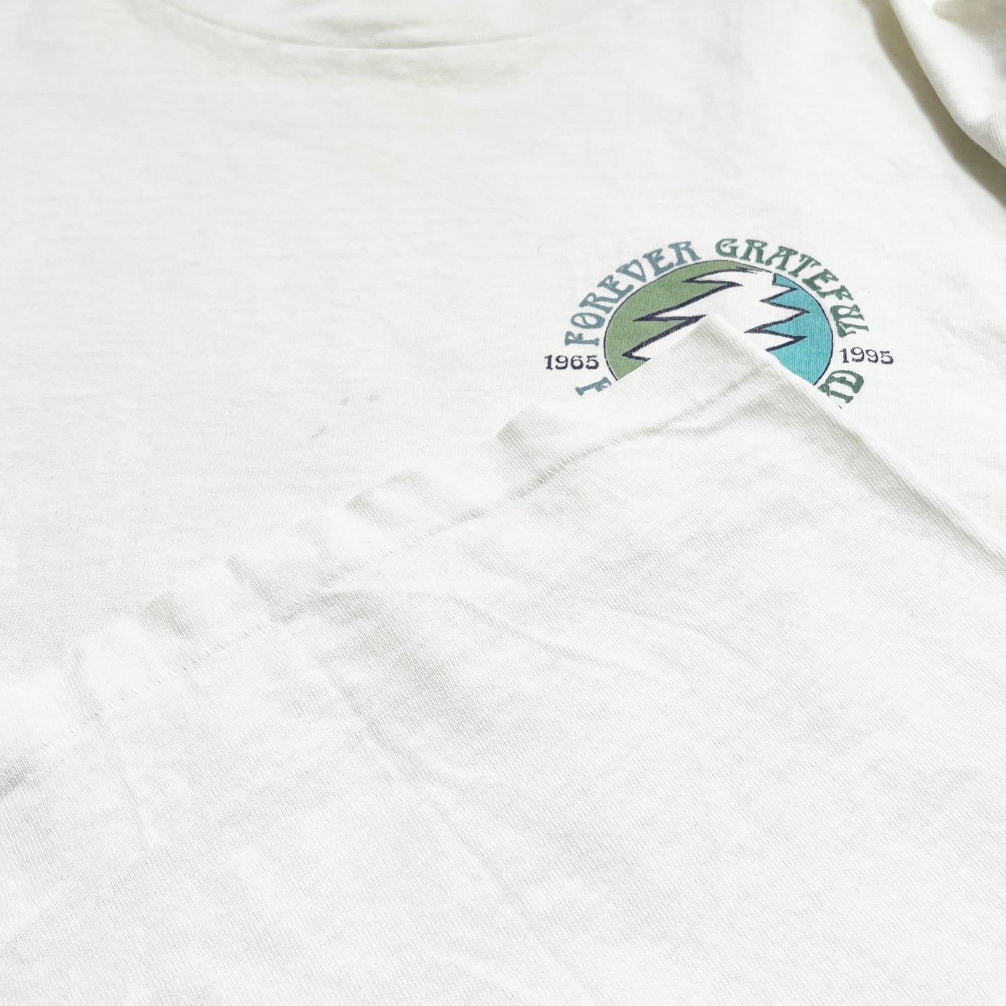 90's Anvil Jerry Garcia "Forever Jerry" T Size (L)