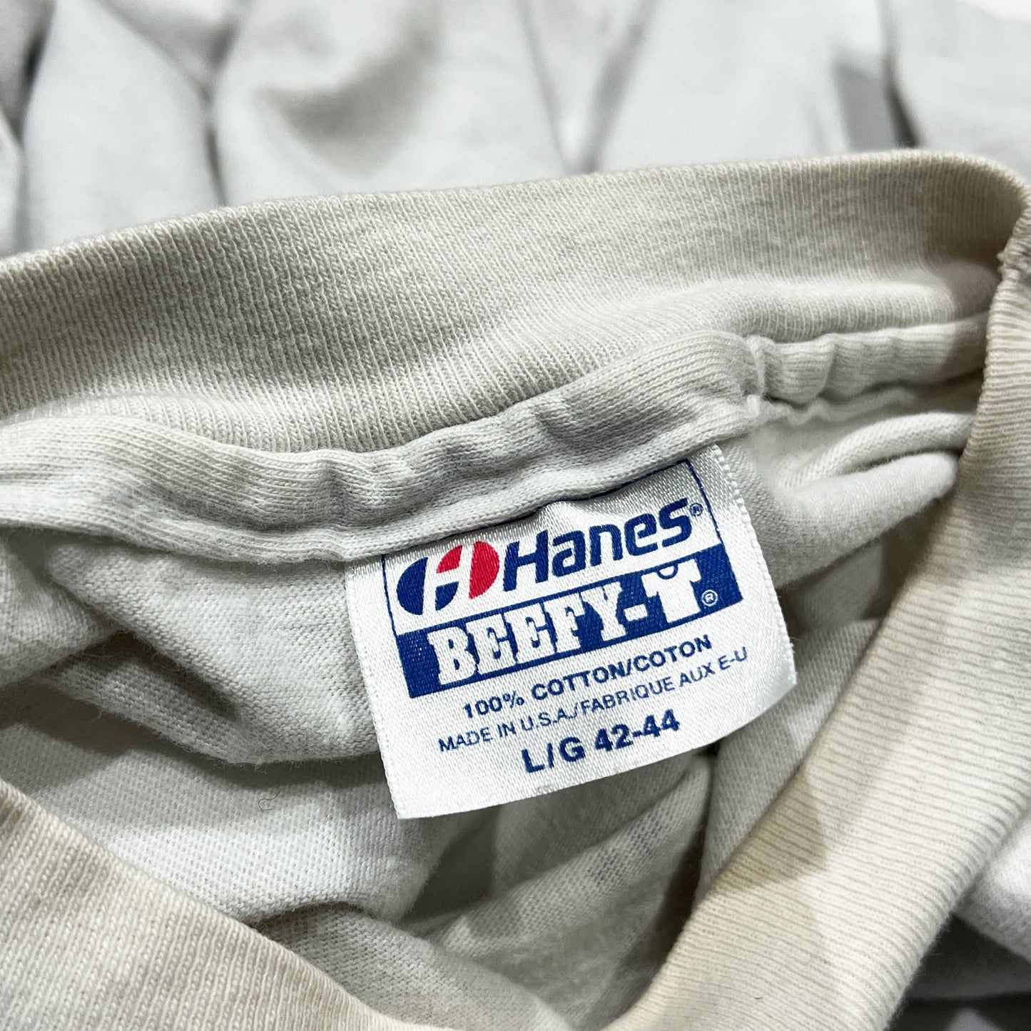 80's〜 Hanes Sonic Youth "Sonic Life" T Size (L)