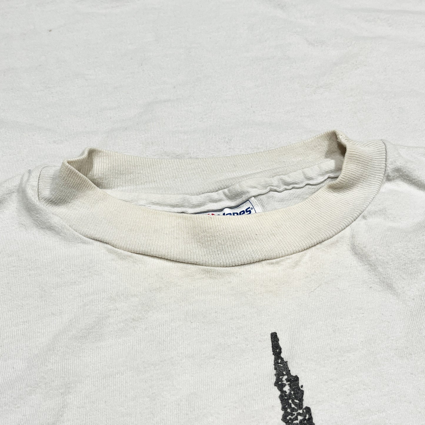 80's〜 Hanes Sonic Youth "Sonic Life" T Size (L)