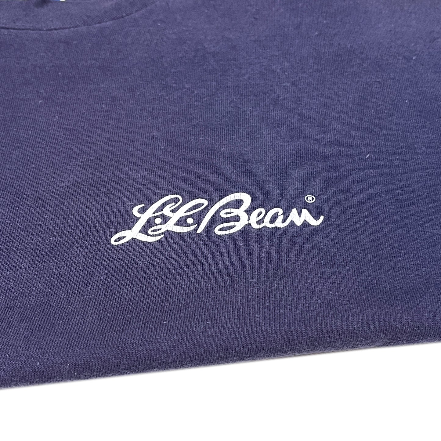 80's Hanes L.L.Bean T 筆記体ロゴ Size (L)