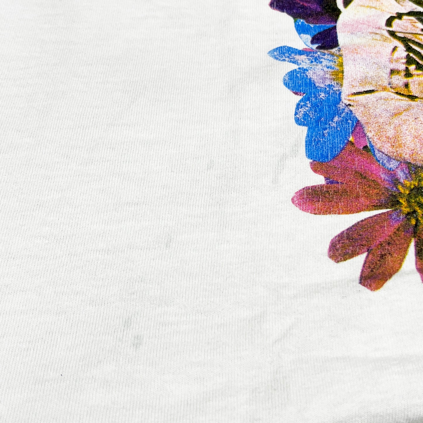90's FRUIT OF THE LOOM Sonic Youth "Tannis Root" T Size (L)