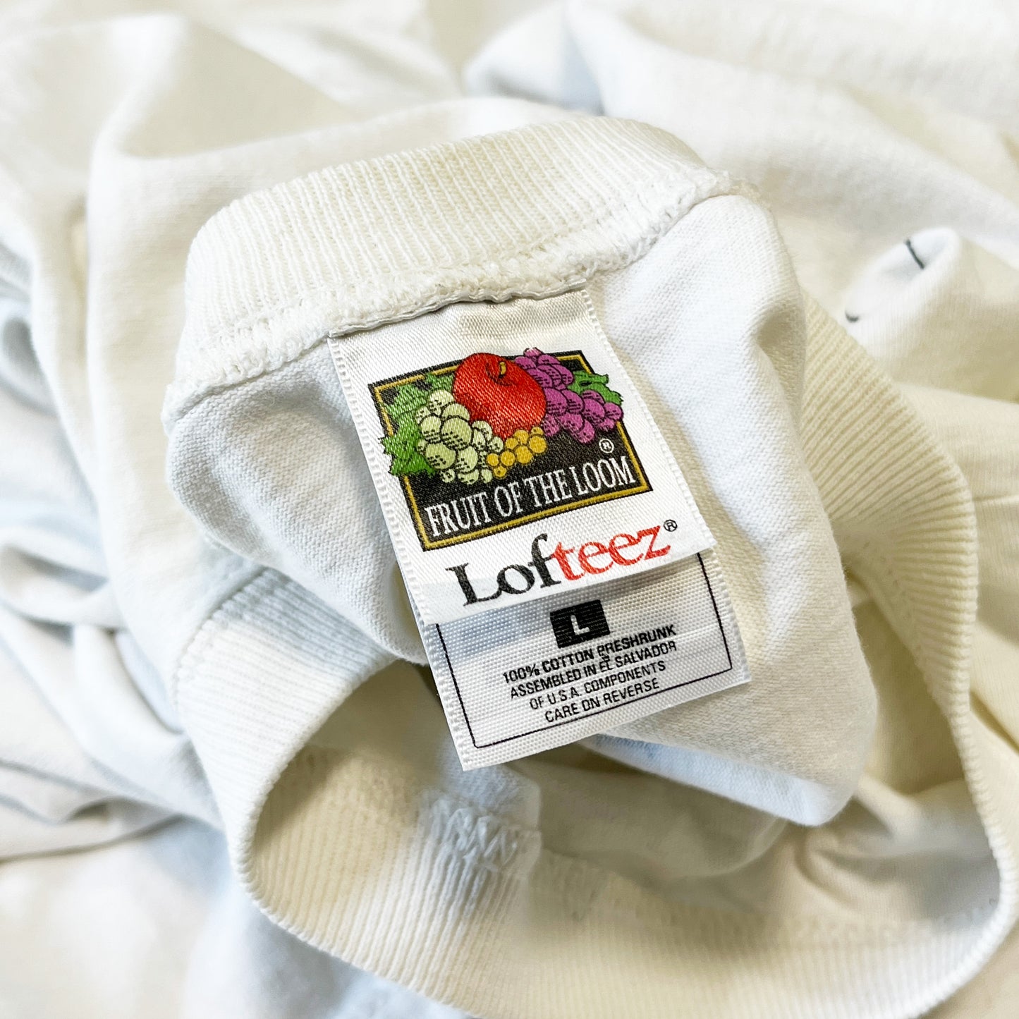 90's〜 FRUIT OF THE LOOM Haagen-Dazs T Size (L)