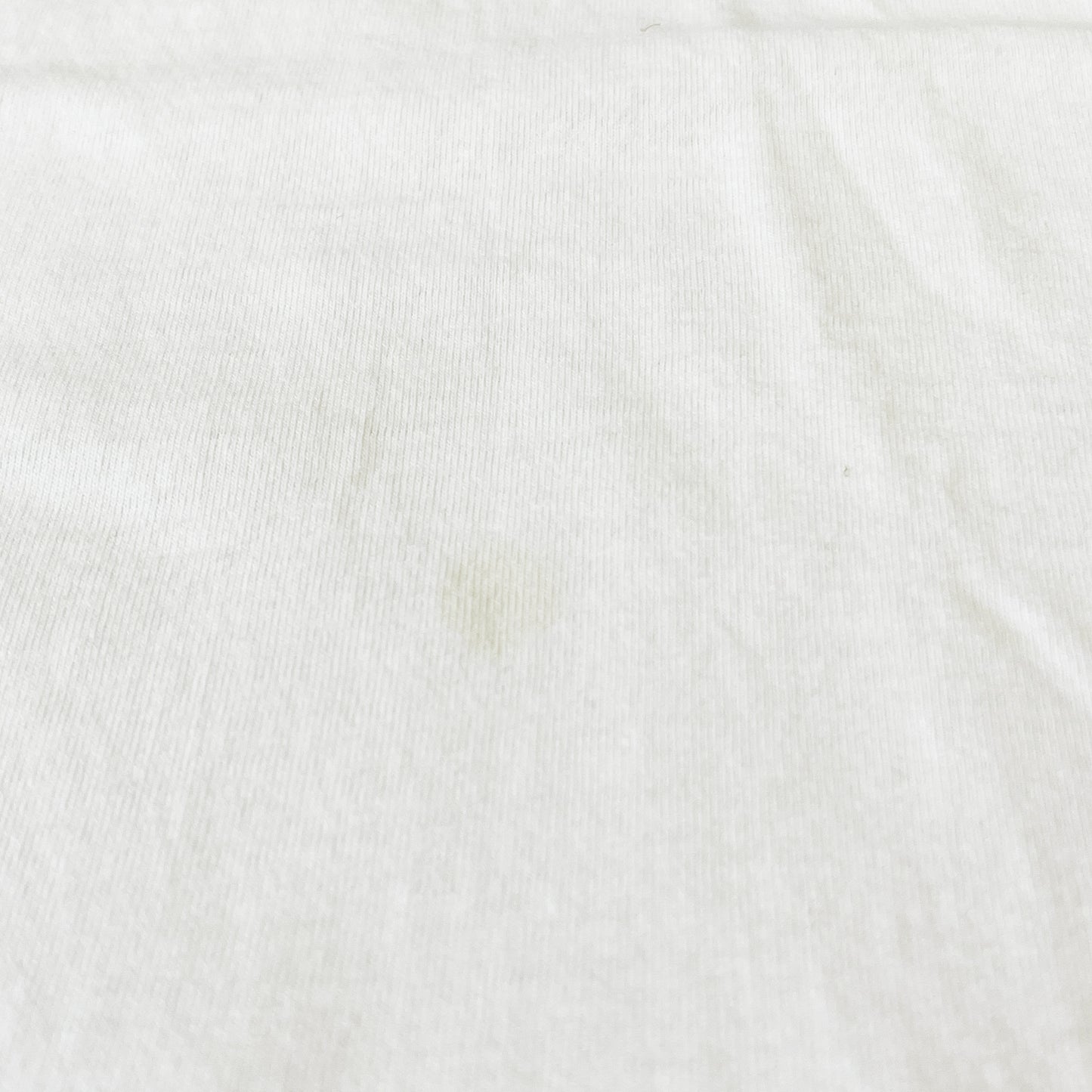 90's〜 FRUIT OF THE LOOM Haagen-Dazs T Size (L)