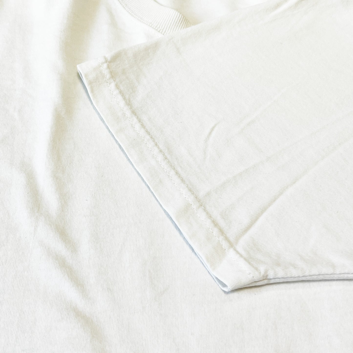 90's〜 FRUIT OF THE LOOM Haagen-Dazs T Size (L)