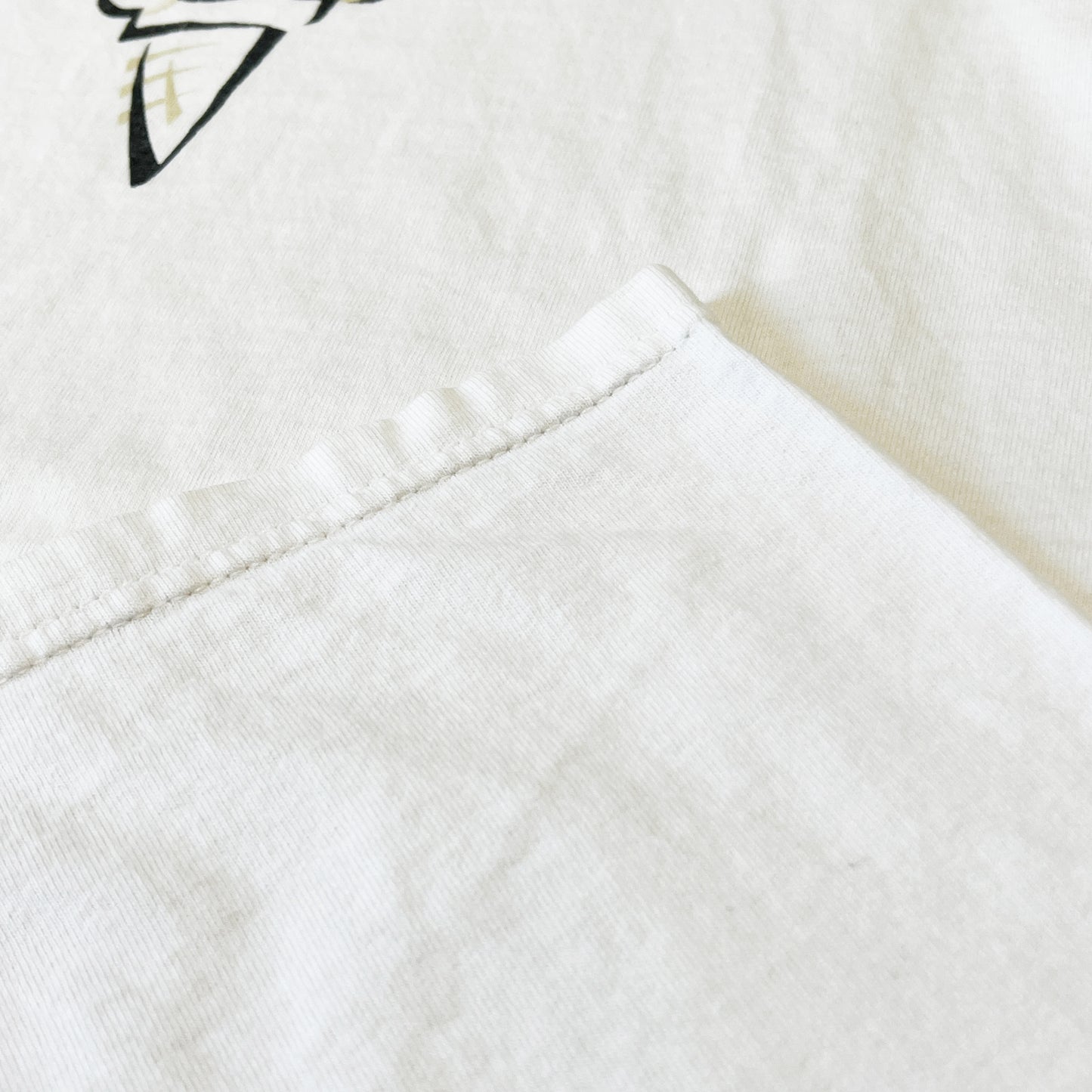 90's〜 FRUIT OF THE LOOM Haagen-Dazs T Size (L)