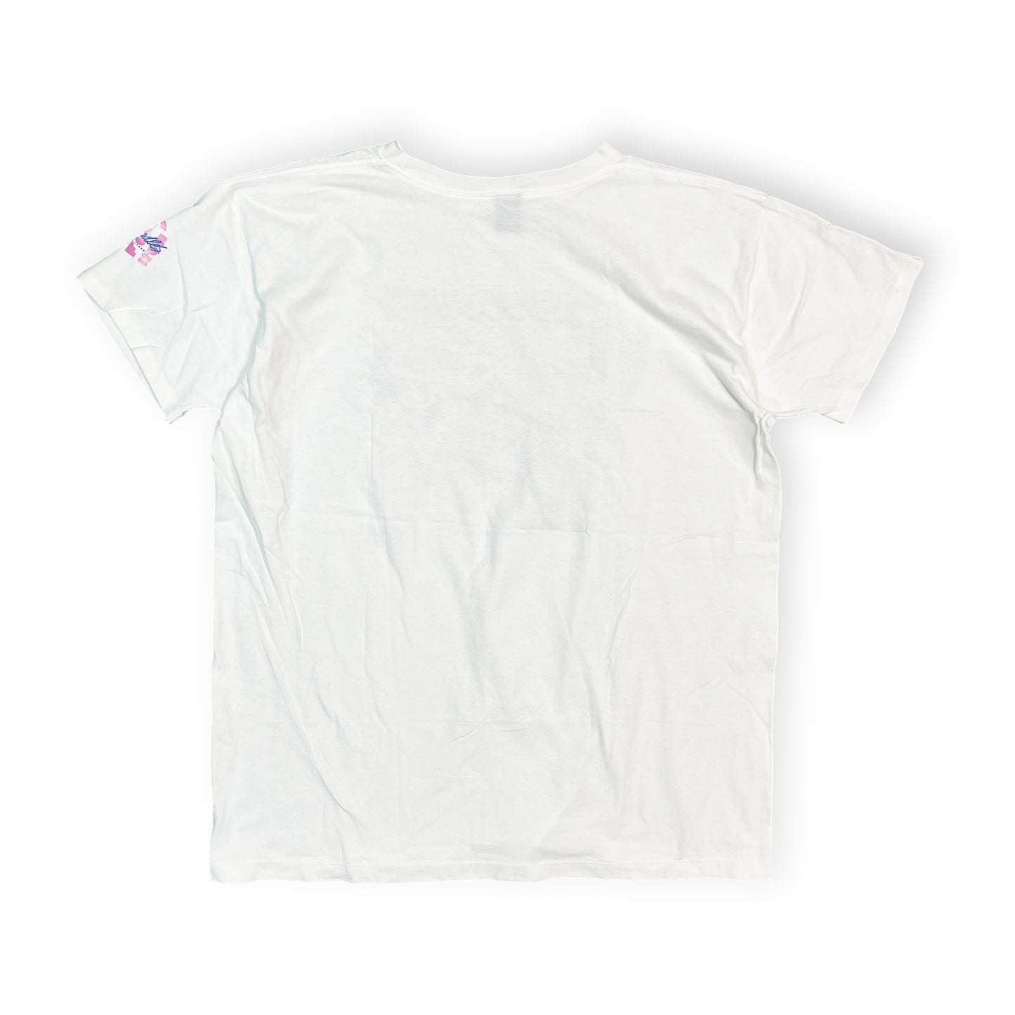 80's〜 Anvil Caboodles T Size (XL)位