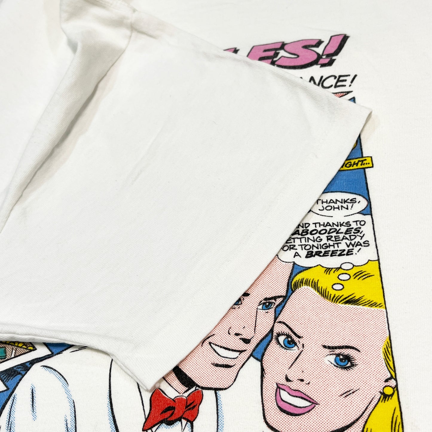 80's〜 Anvil Caboodles T Size (XL)位