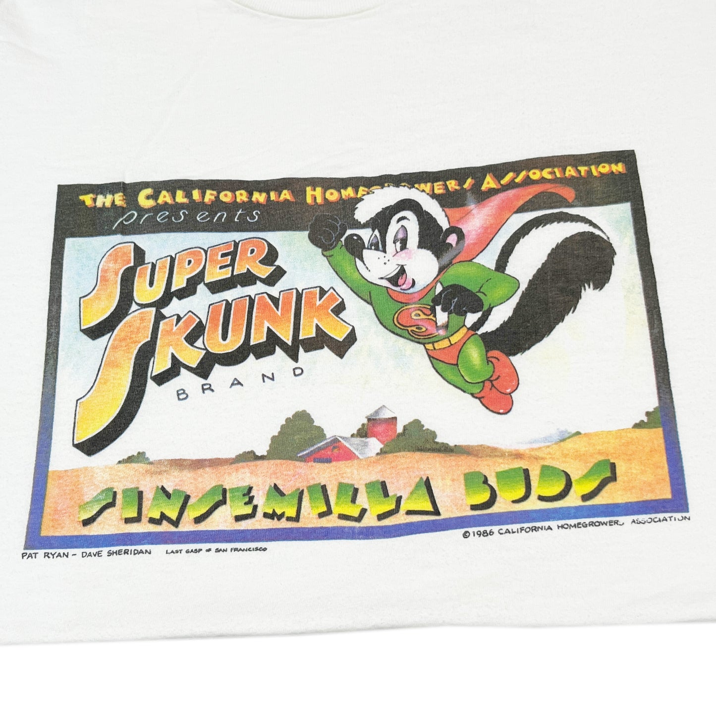 90's Hanes Super Skunk Brand T Size (XL)