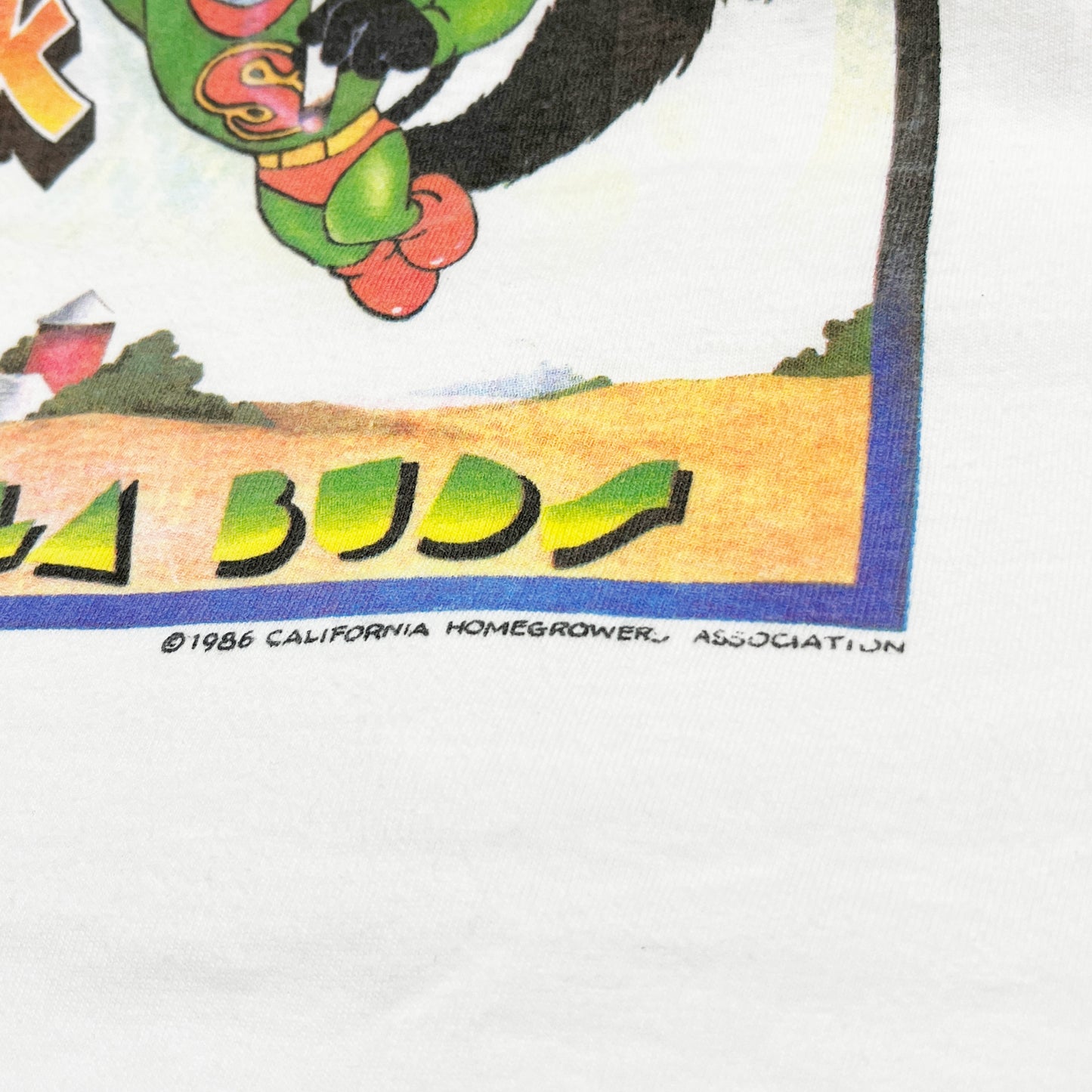 90's Hanes Super Skunk Brand T Size (XL)