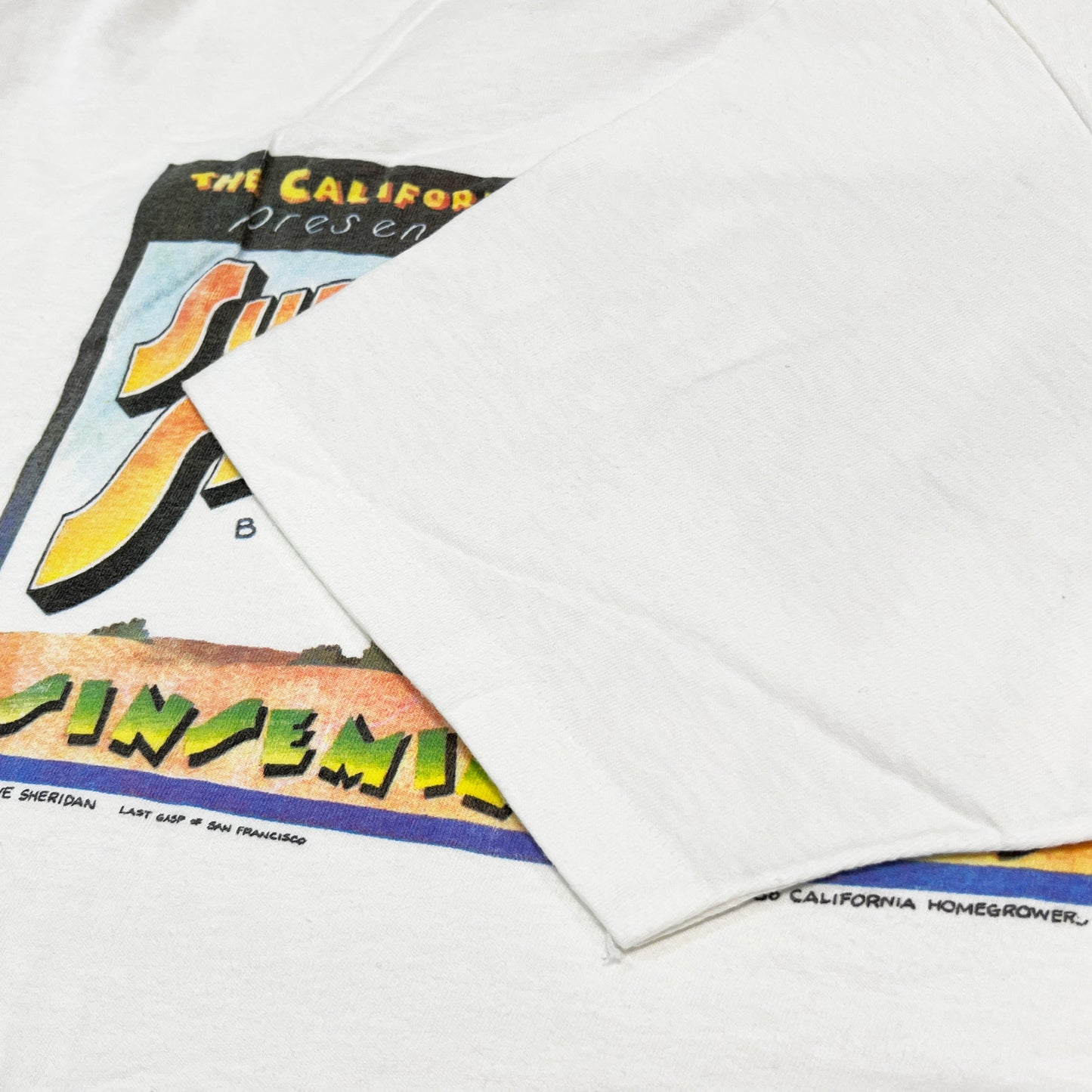 90's Hanes Super Skunk Brand T Size (XL)
