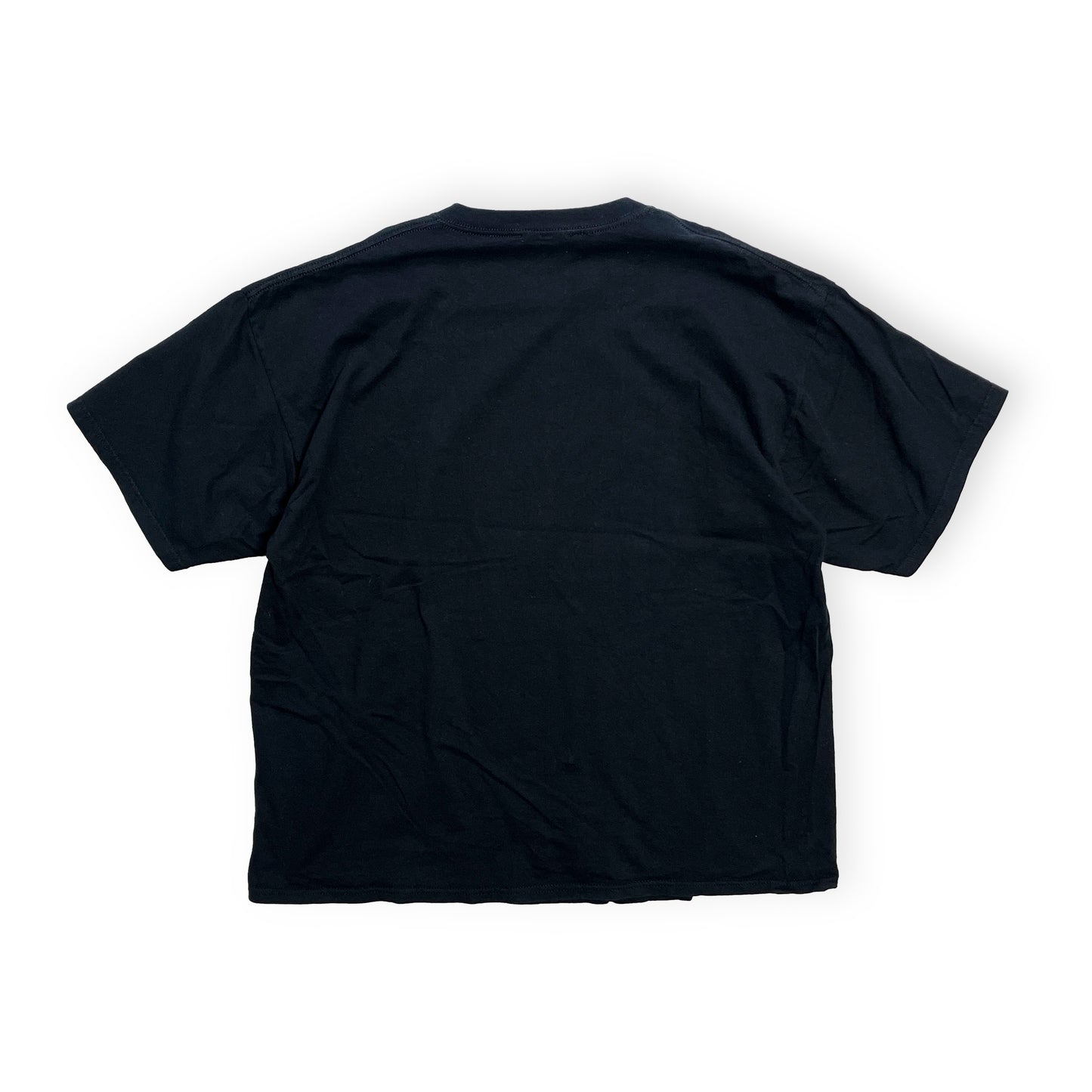 90's POSTER POP Kozik "The Green Lady" T Size (XXL) ビッグサイズ!