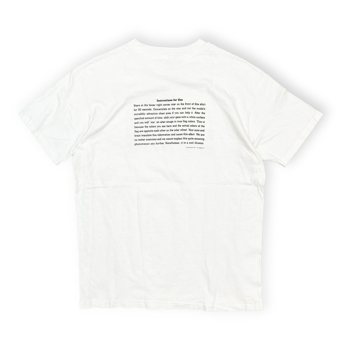 80's〜 Hanes American Flag T Size (L)