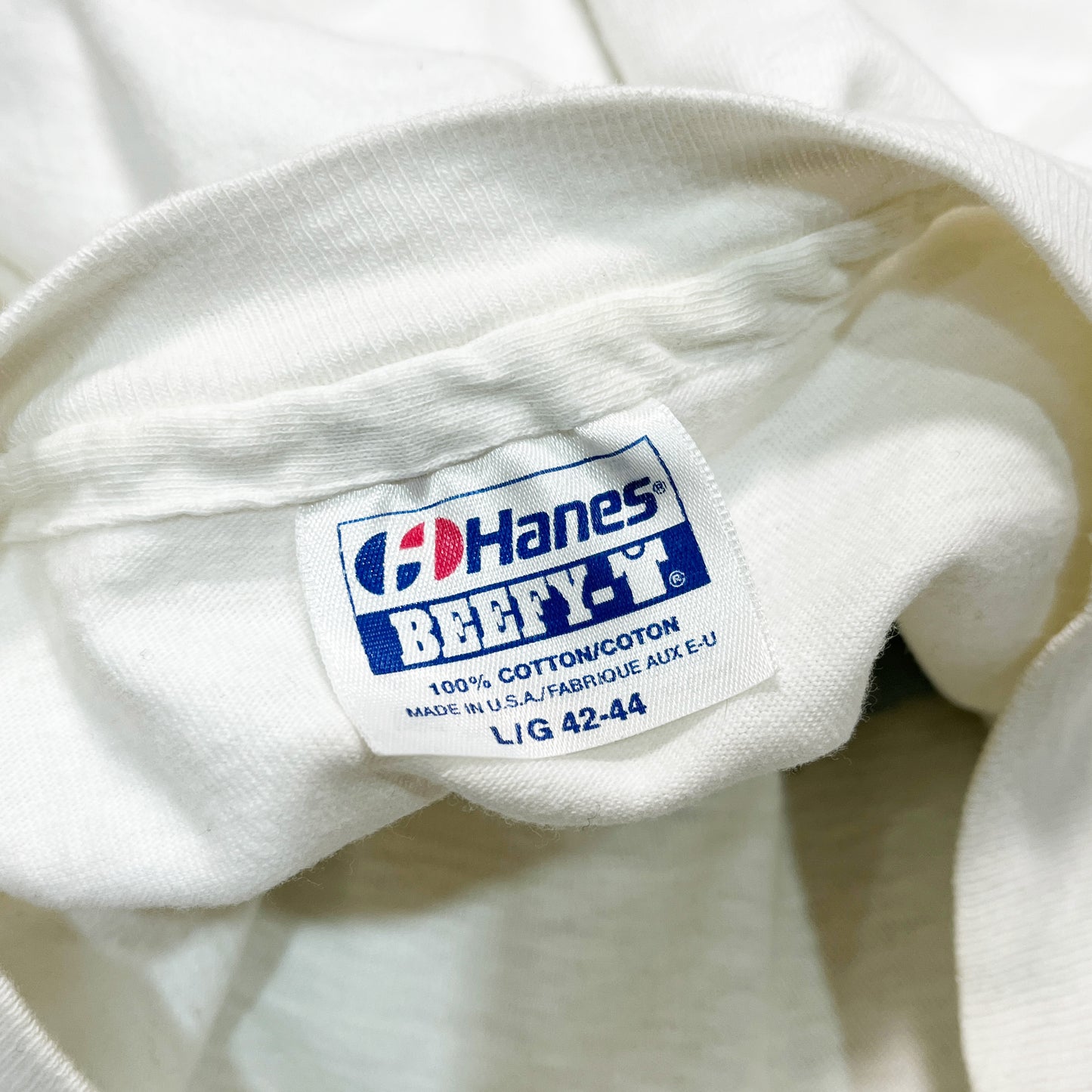 80's〜 Hanes American Flag T Size (L)