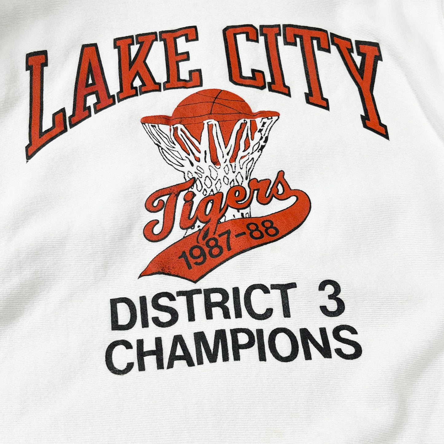 80's Champion R/W LAKE CITY Size (M)