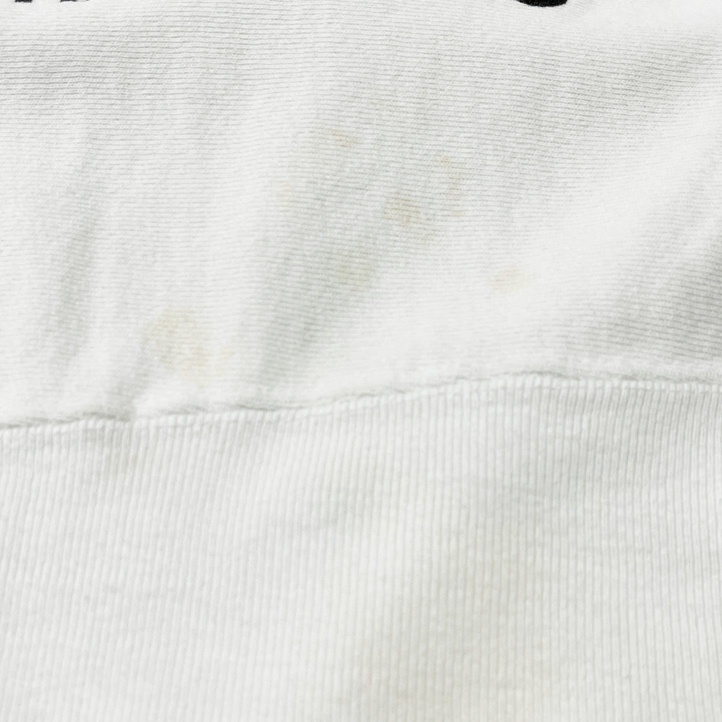 80's Champion R/W LAKE CITY Size (M)