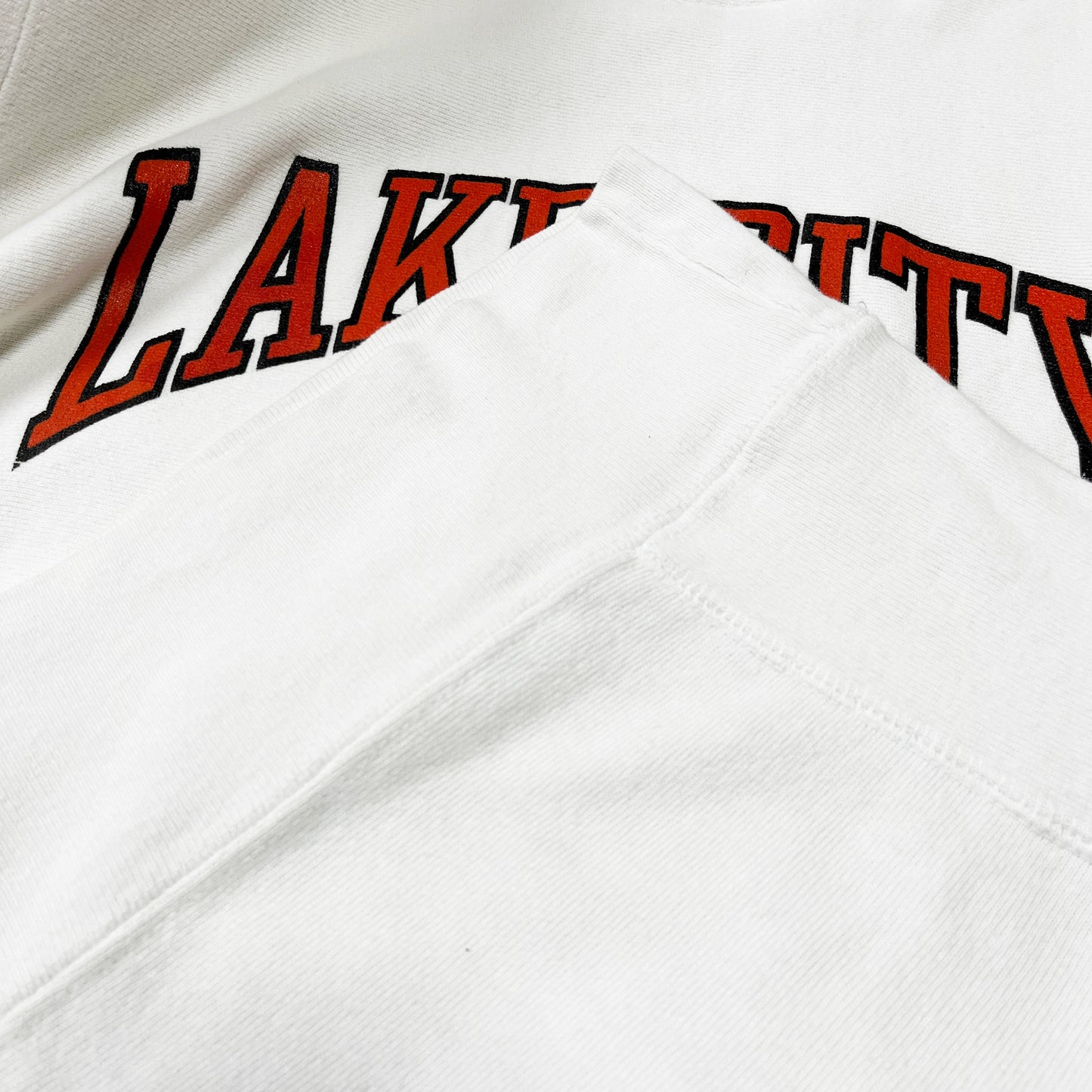 80's Champion R/W LAKE CITY Size (M)