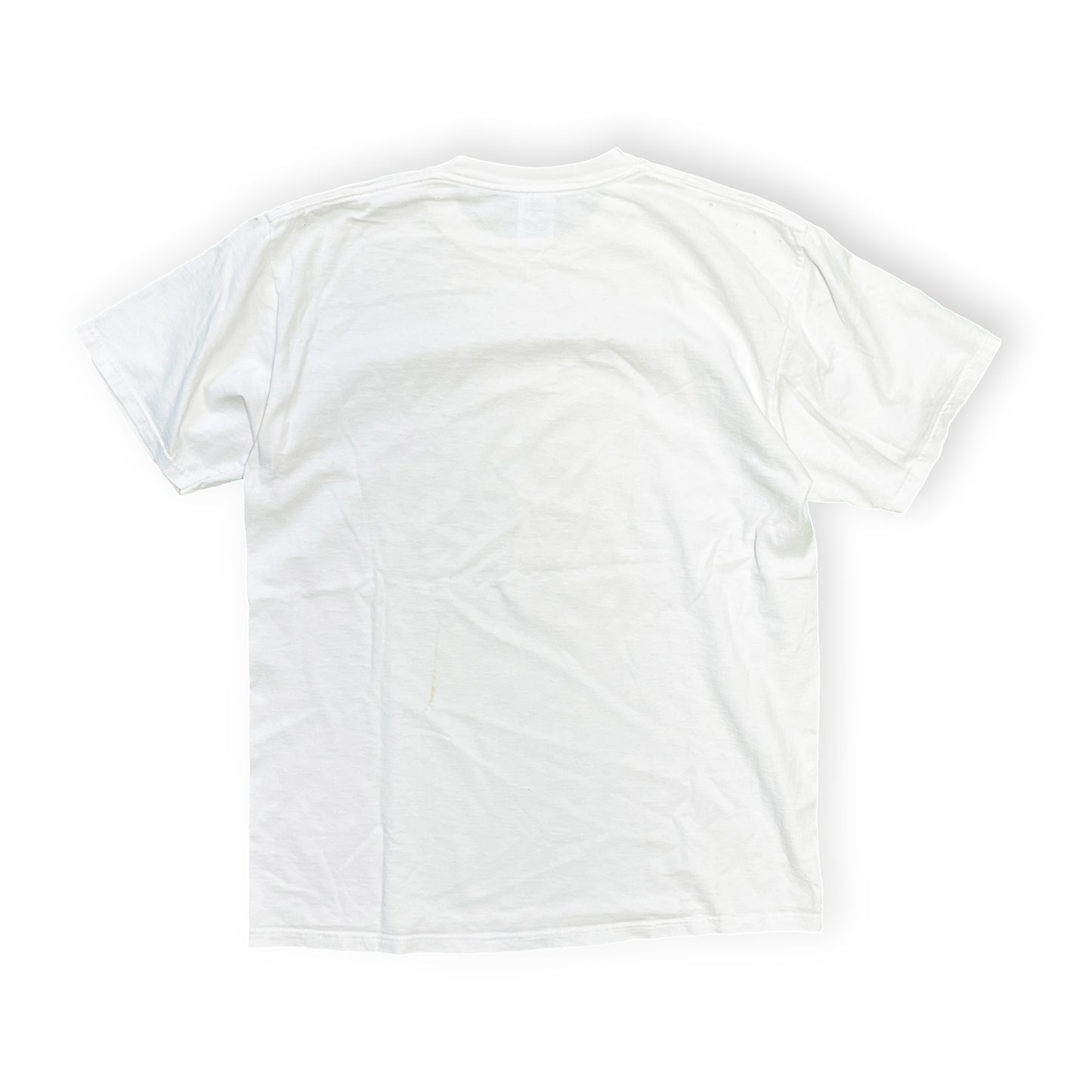 90's JERZEES Richard Stain T Size (L)