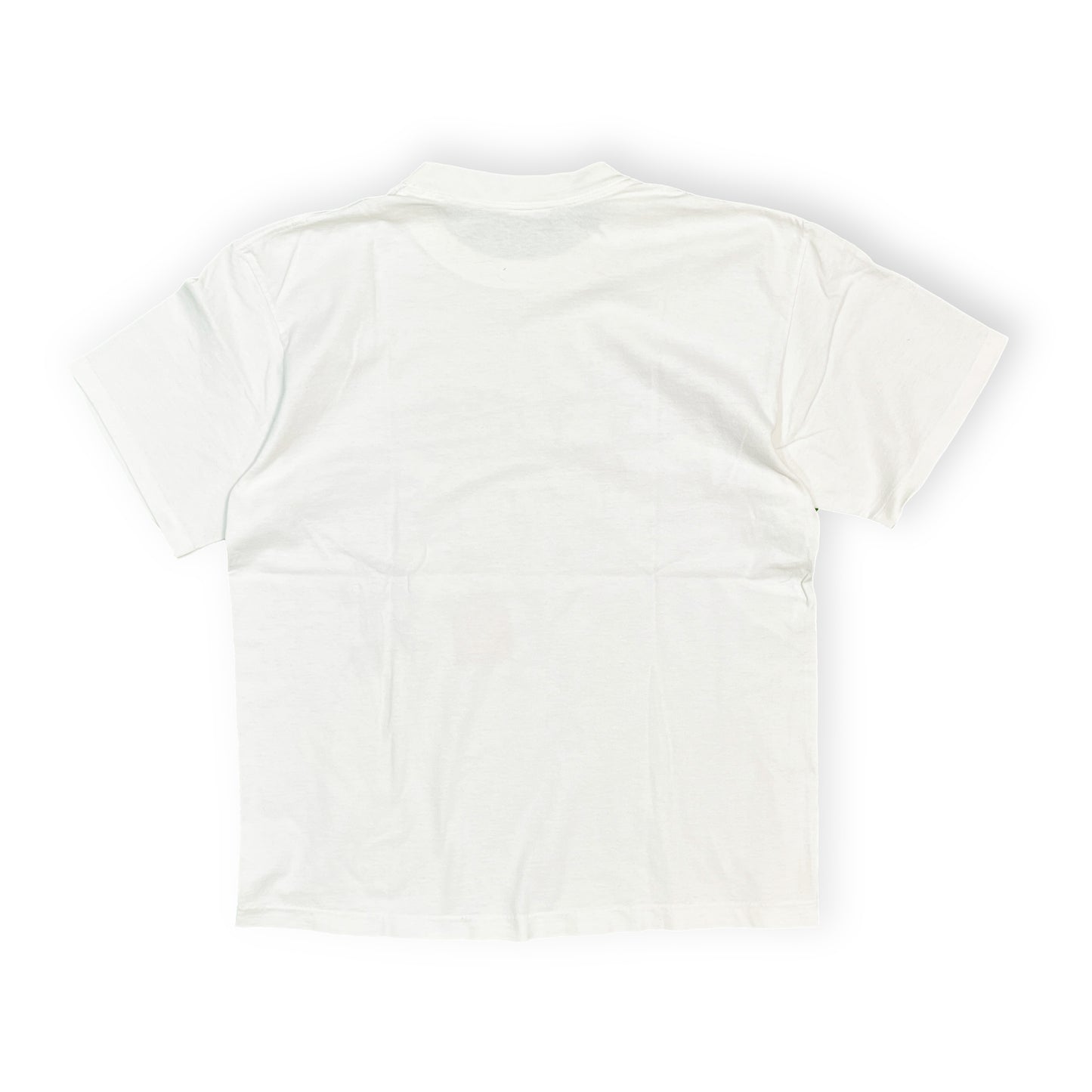 90's ANDAZIA Frank Lloyd Wright "Frederick C. Robie House" T Size (L)