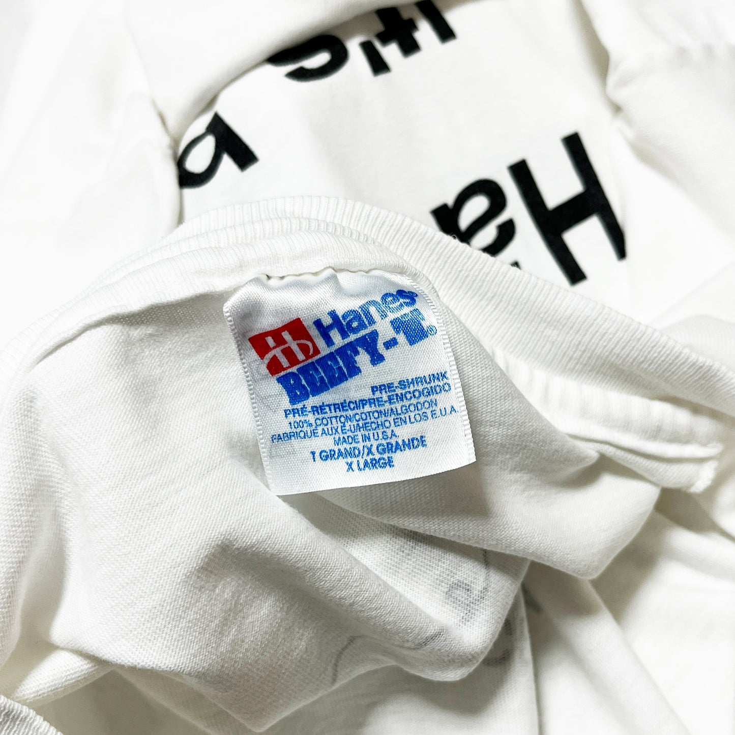 90's Hanes Haagen-Dazs T Size (XL) レア!