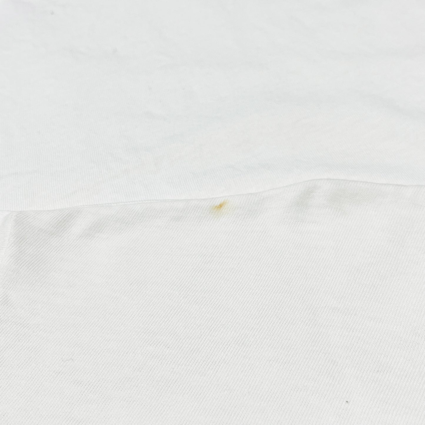 90's Hanes Haagen-Dazs T Size (XL) レア!