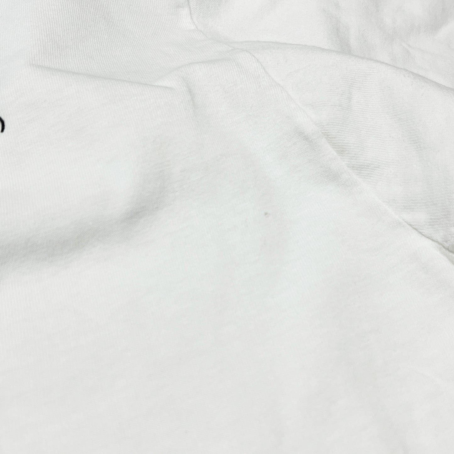 90's Hanes Haagen-Dazs T Size (XL) レア!