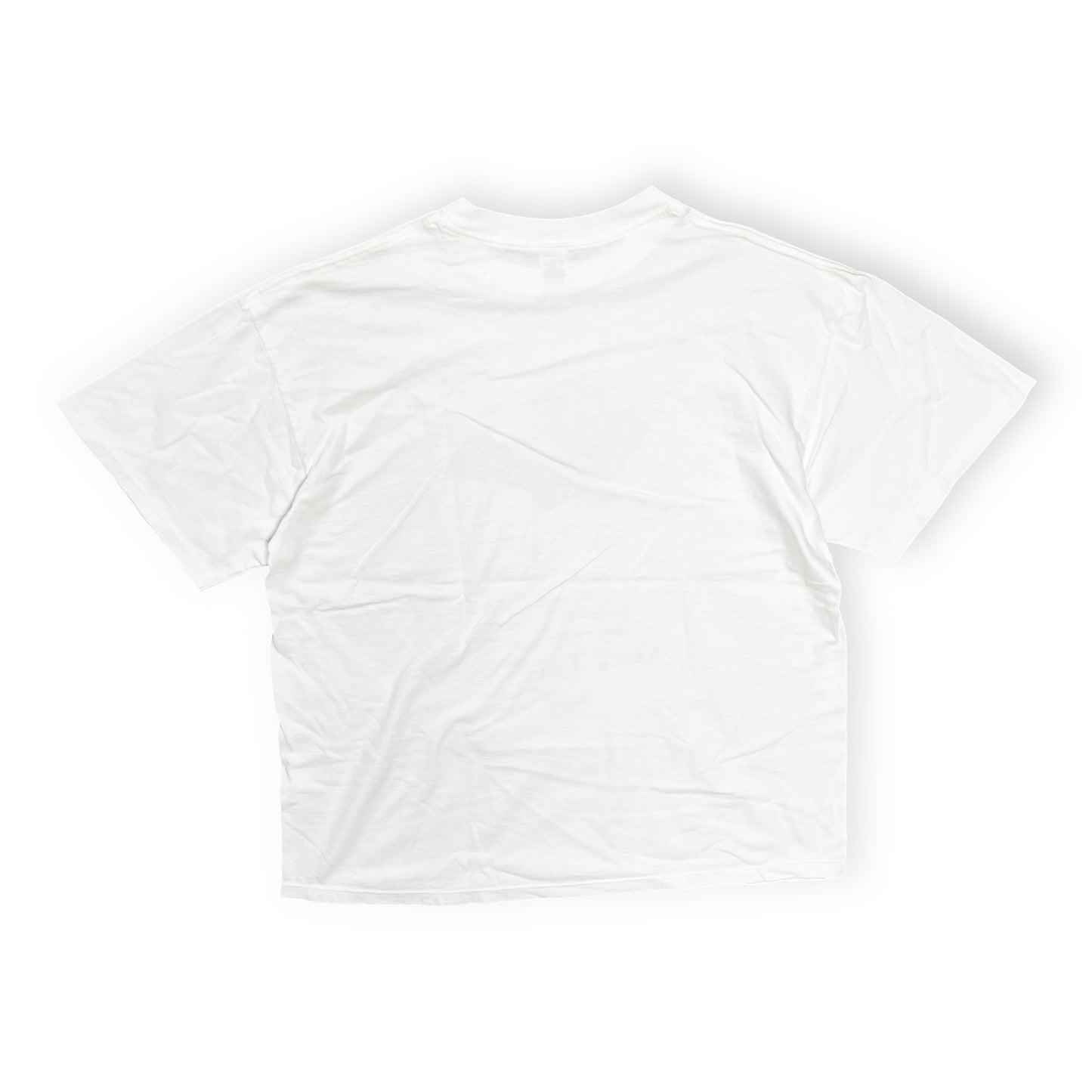 90's SOFFE SHIRTS Largely Literary Series "Mark Twain" T Size (XL)