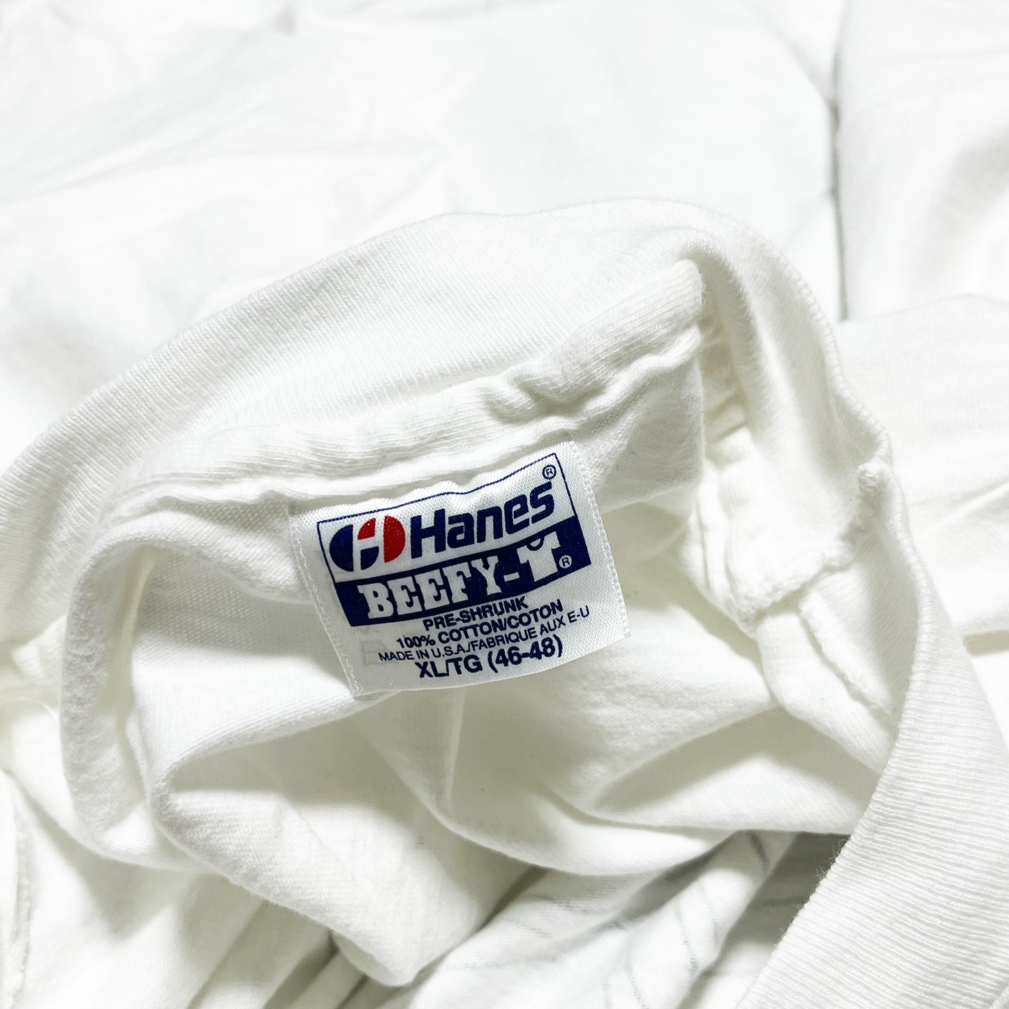 80's〜 Hanes Largely Literary Series "Beethoven" T Size (XL)