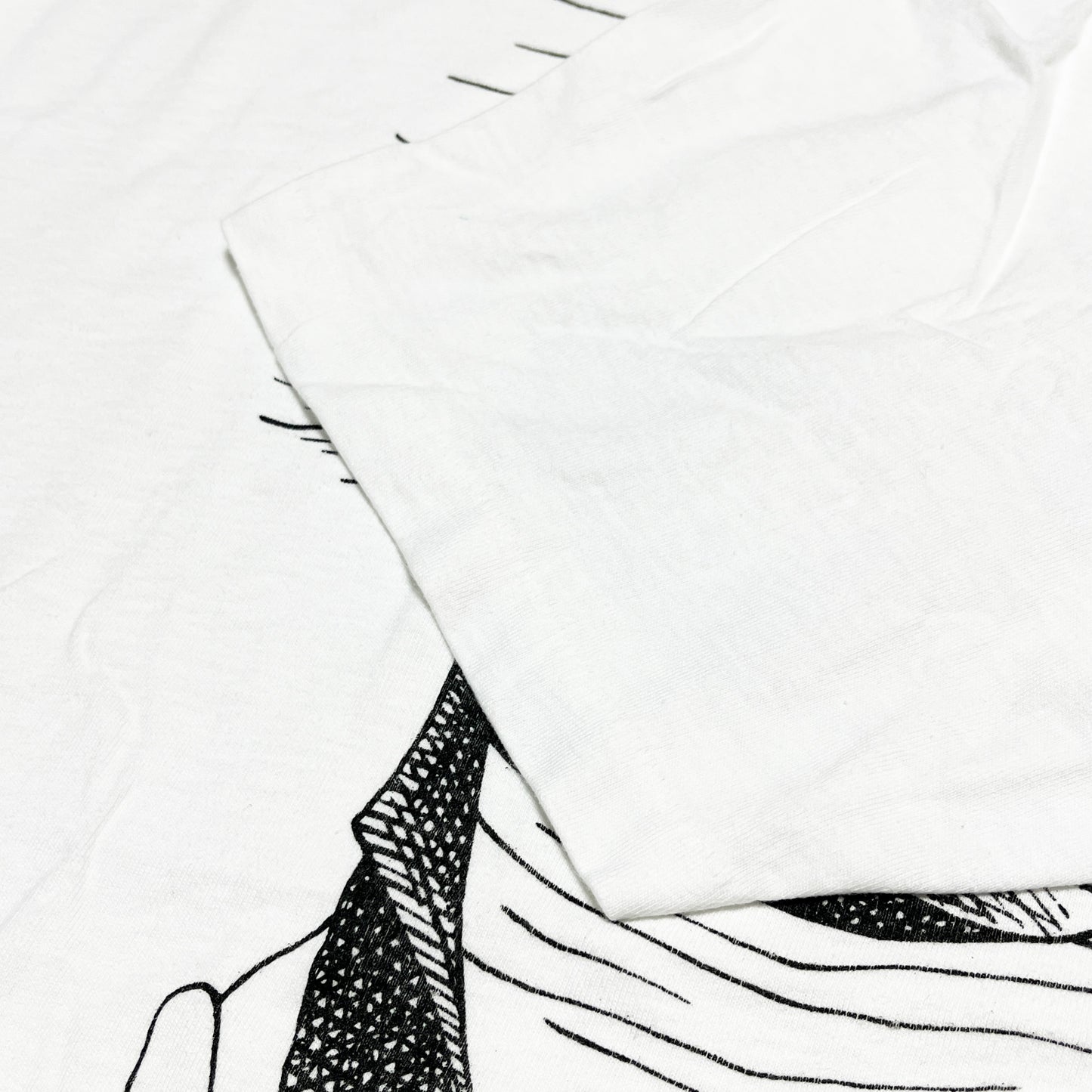 80's〜 Hanes Largely Literary Series "Beethoven" T Size (XL)