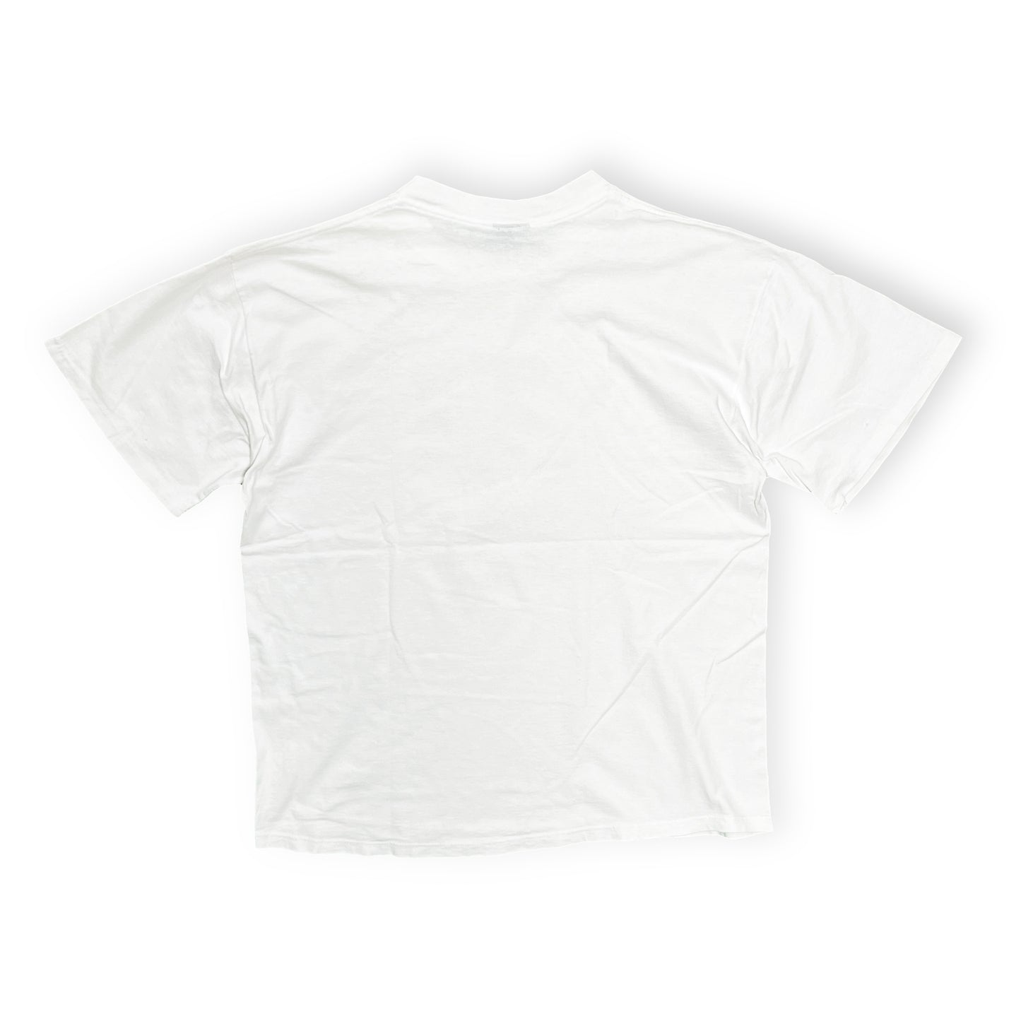 90's SOFFE'S Largely Literary Series "Richard Wagner" T Size (XL)
