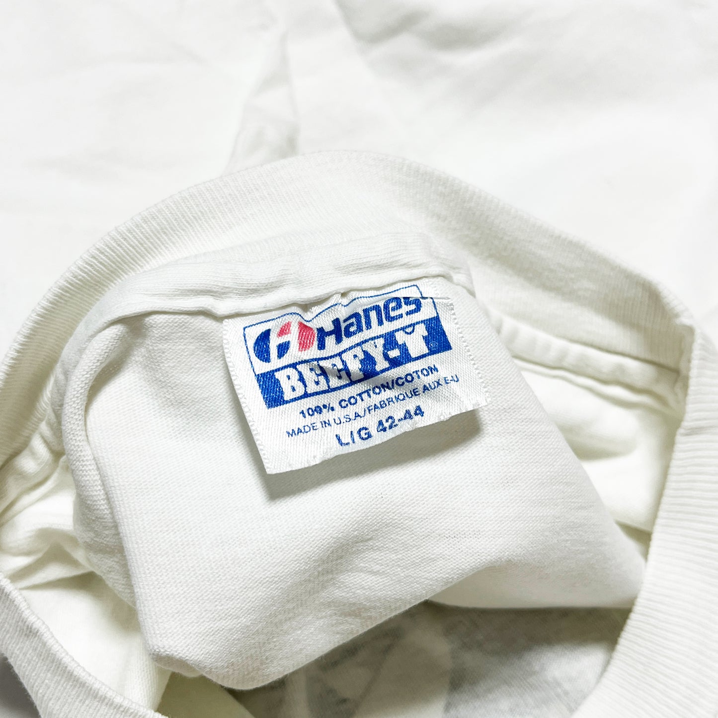 80's〜 Hanes Largely Literary Series "Lewis Carroll" T Size (L)