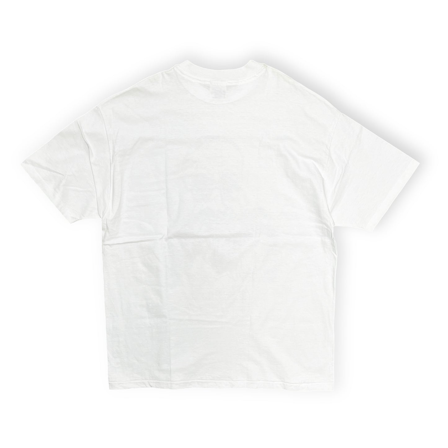 80's〜 Hanes Largely Literary Series "T.S.Eliot" T Size (XL)