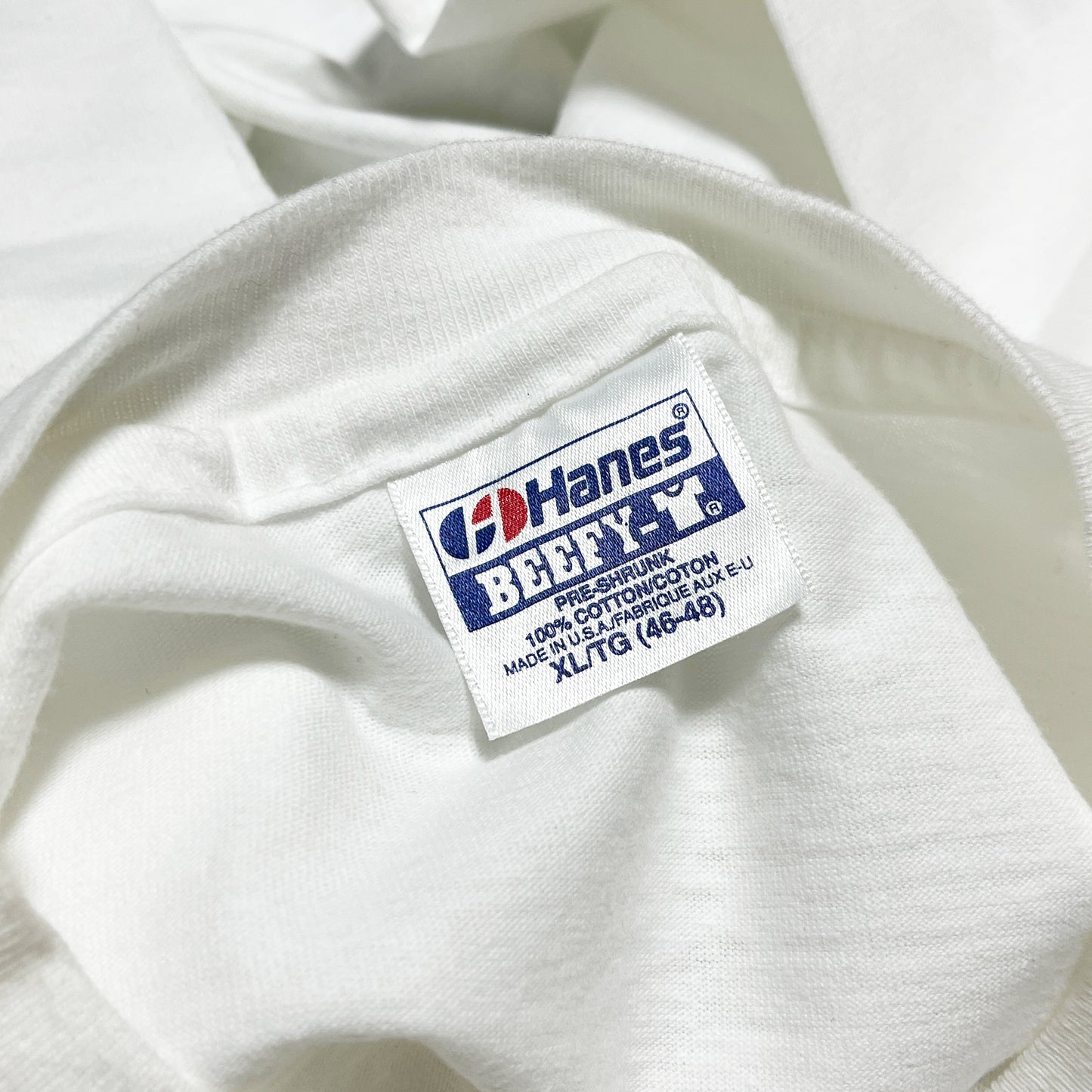80's〜 Hanes Largely Literary Series "T.S.Eliot" T Size (XL)