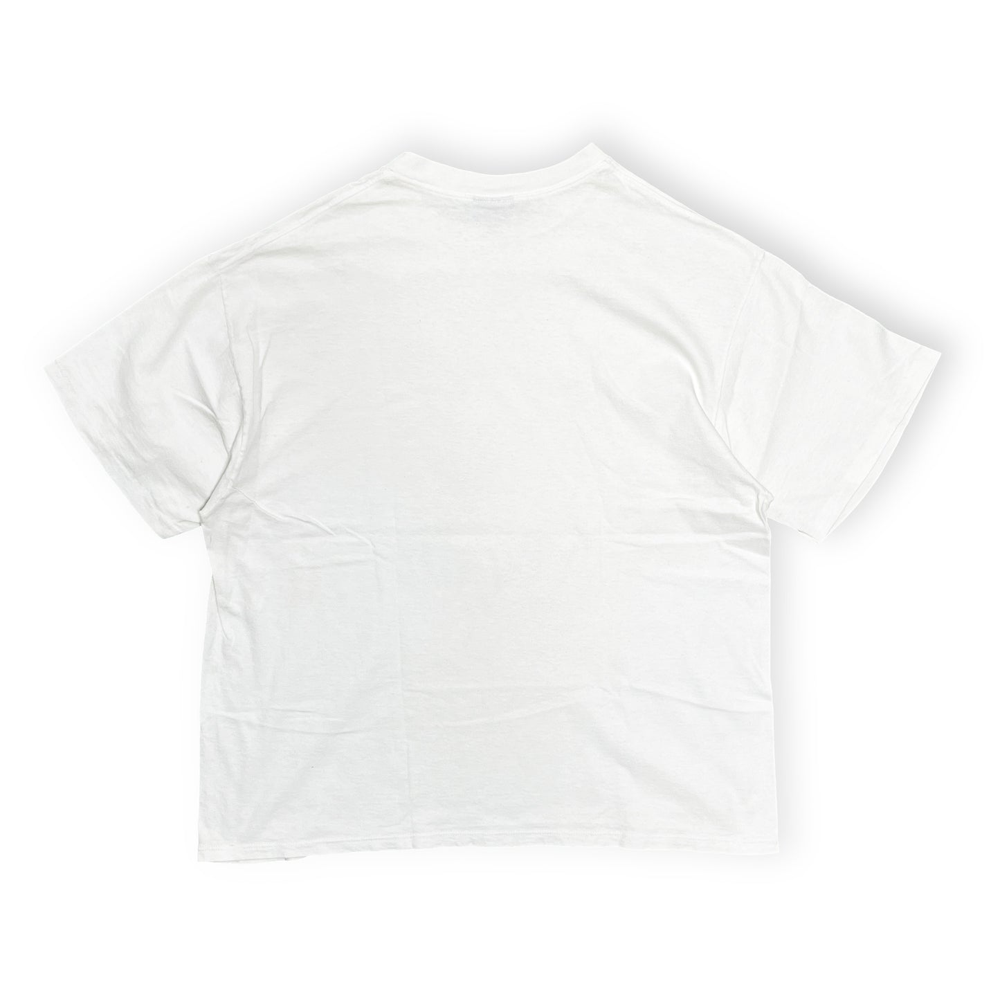 80's〜 SOFFE'S Largely Literary Series "Louis L'Amour" T Size (XL)