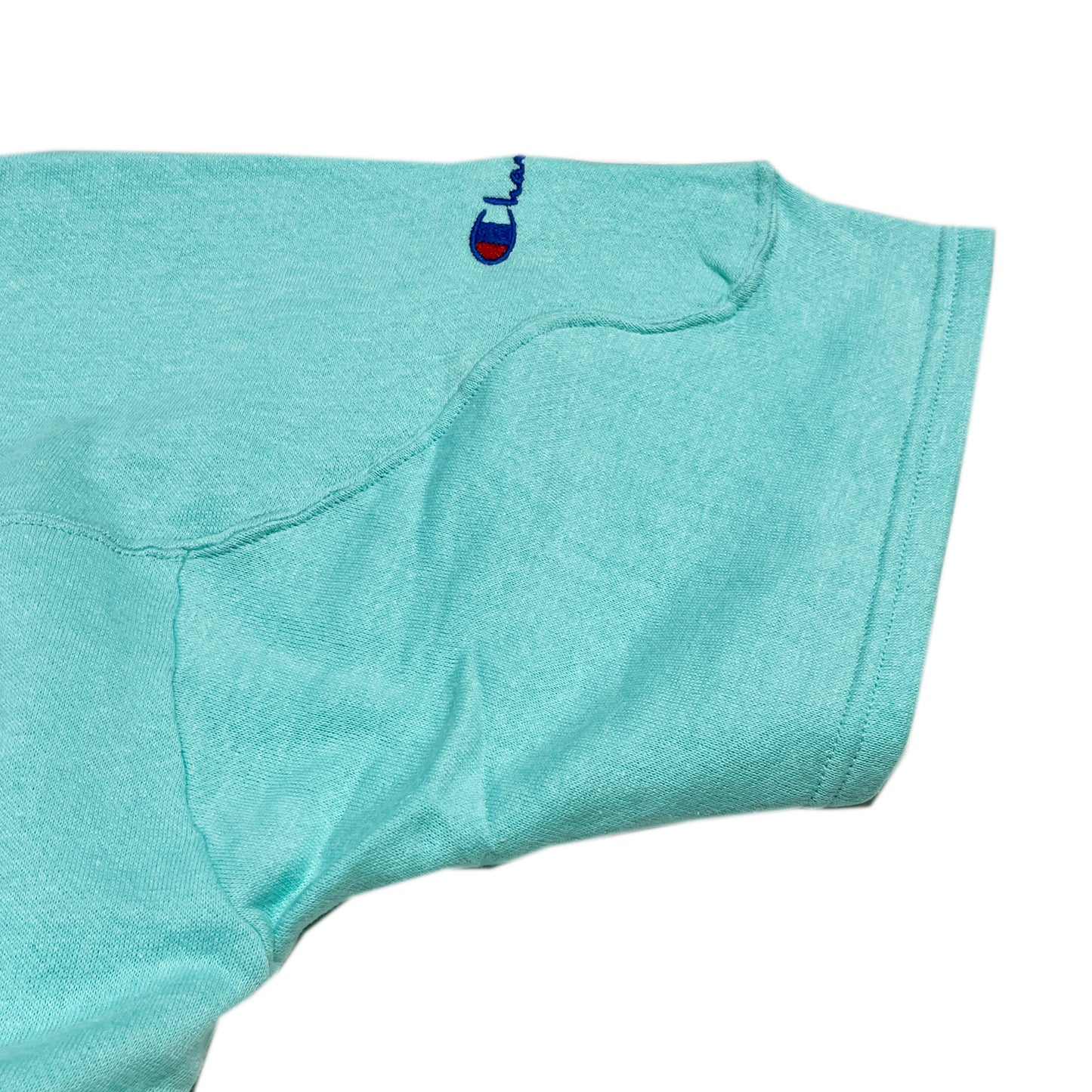 90's 青刺繍タグ Champion S/S Sweat Size (L)