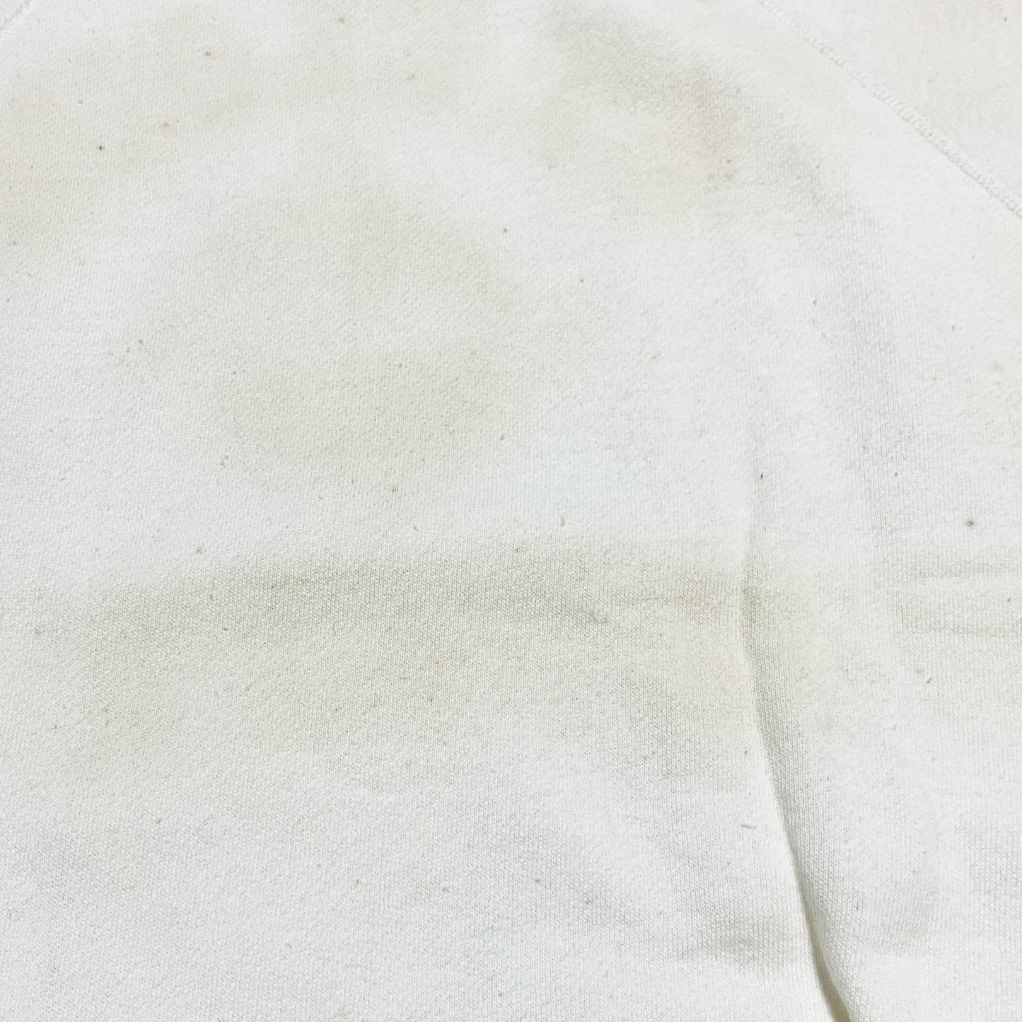 60's Champion ランタグ Flocky Print Sweat "St.Cloud State" Size (L) Almost Deadstock
