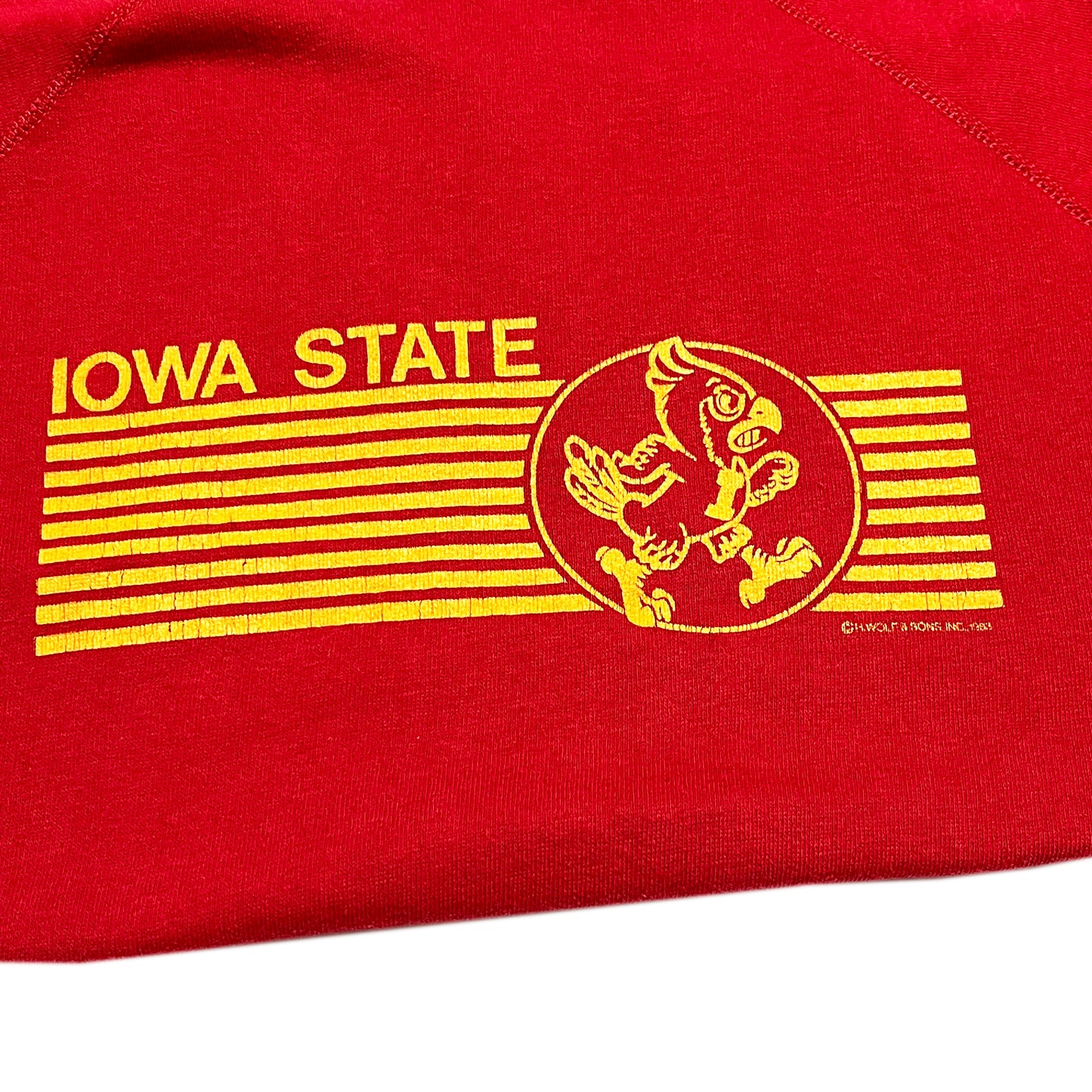 80's〜 UnKnown IOWA STATE Sweat Size (L-XL)位