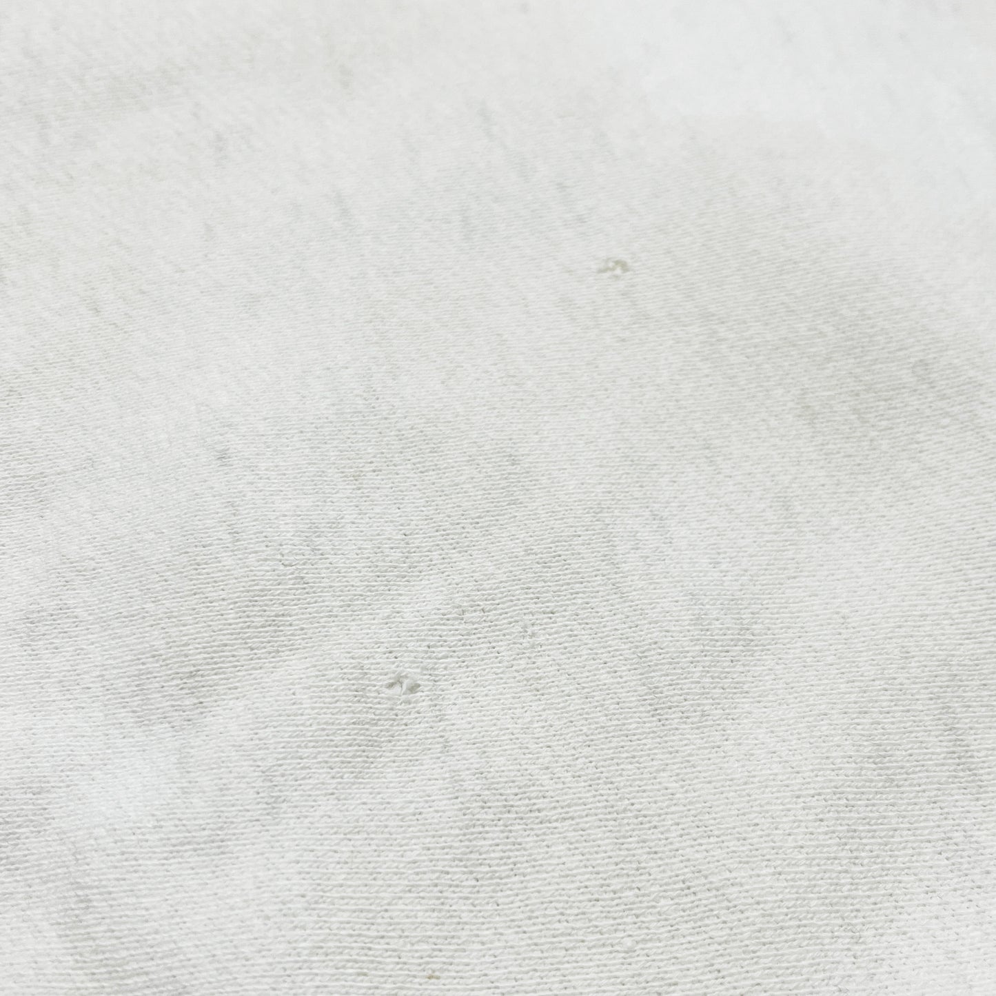 60's Champion R/W タタキタグ 無地 Size (L) レア!