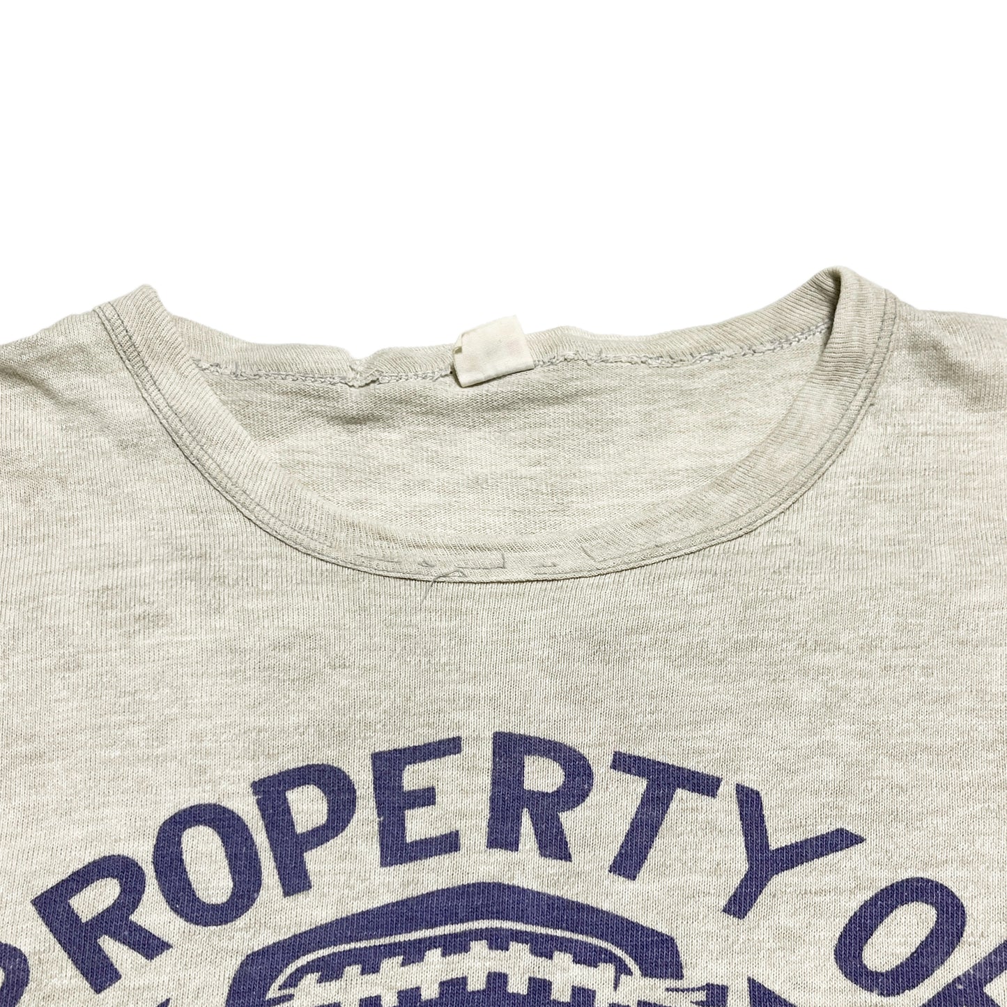 50's Southern Print T 4段紫染み込み Size (XL) レア!