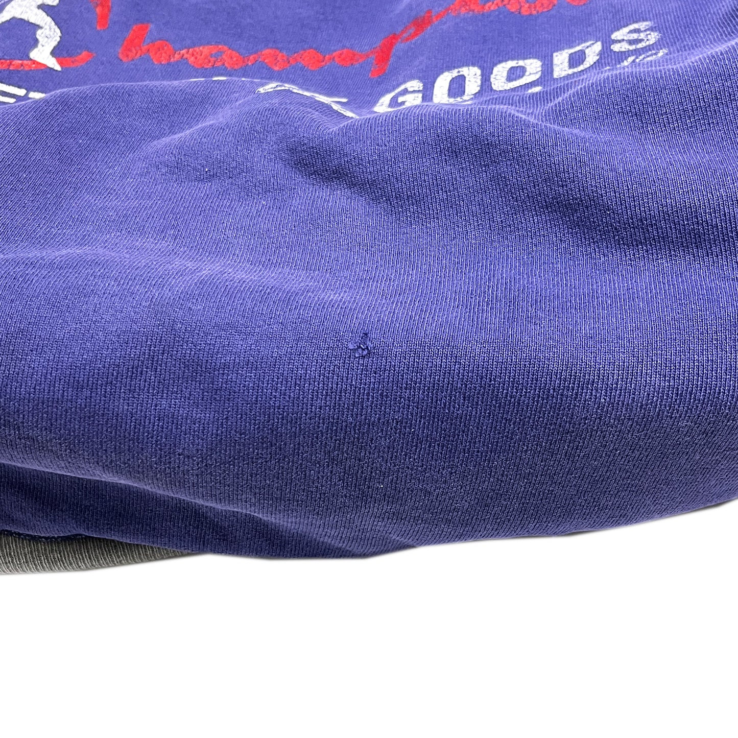80's〜 Champion W-Face Reversible Sweat Size (XL) レア!