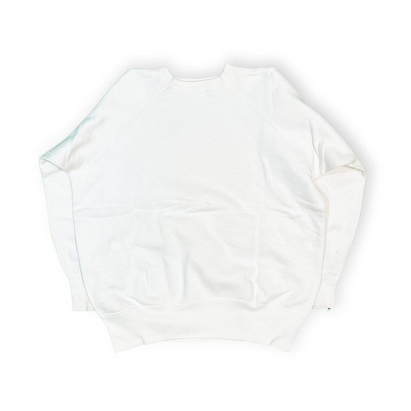 60's Champion Run Tag Sweat "ALPHA SIGMA ALPHA" Flocky Print Size (XL) ビッグサイズ!