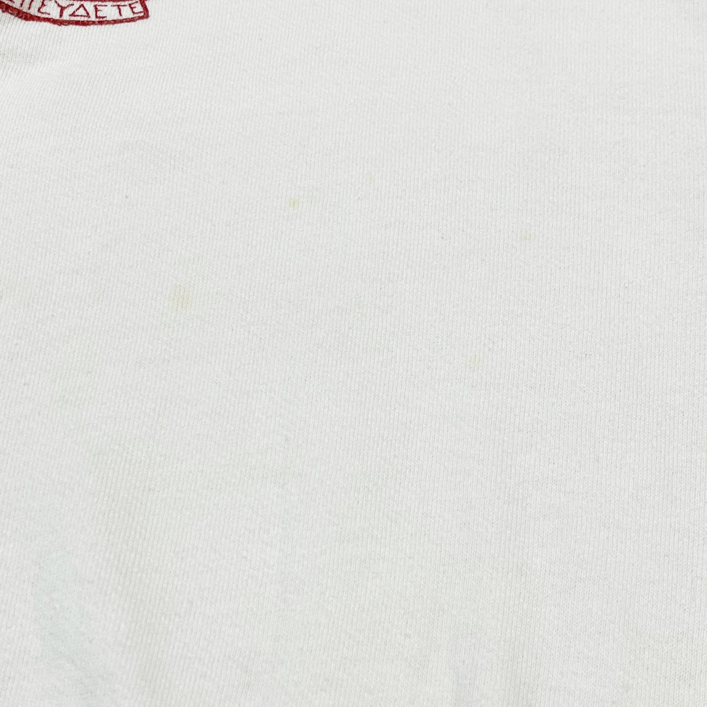 60's Champion Run Tag Sweat "ALPHA SIGMA ALPHA" Flocky Print Size (XL) ビッグサイズ!