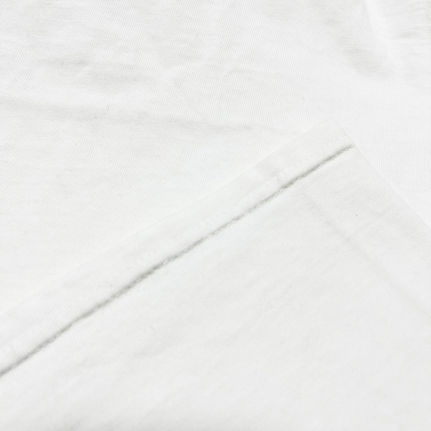 90's〜 Hanes Apple Macintosh Evangelist T 両面プリント Size (XL)