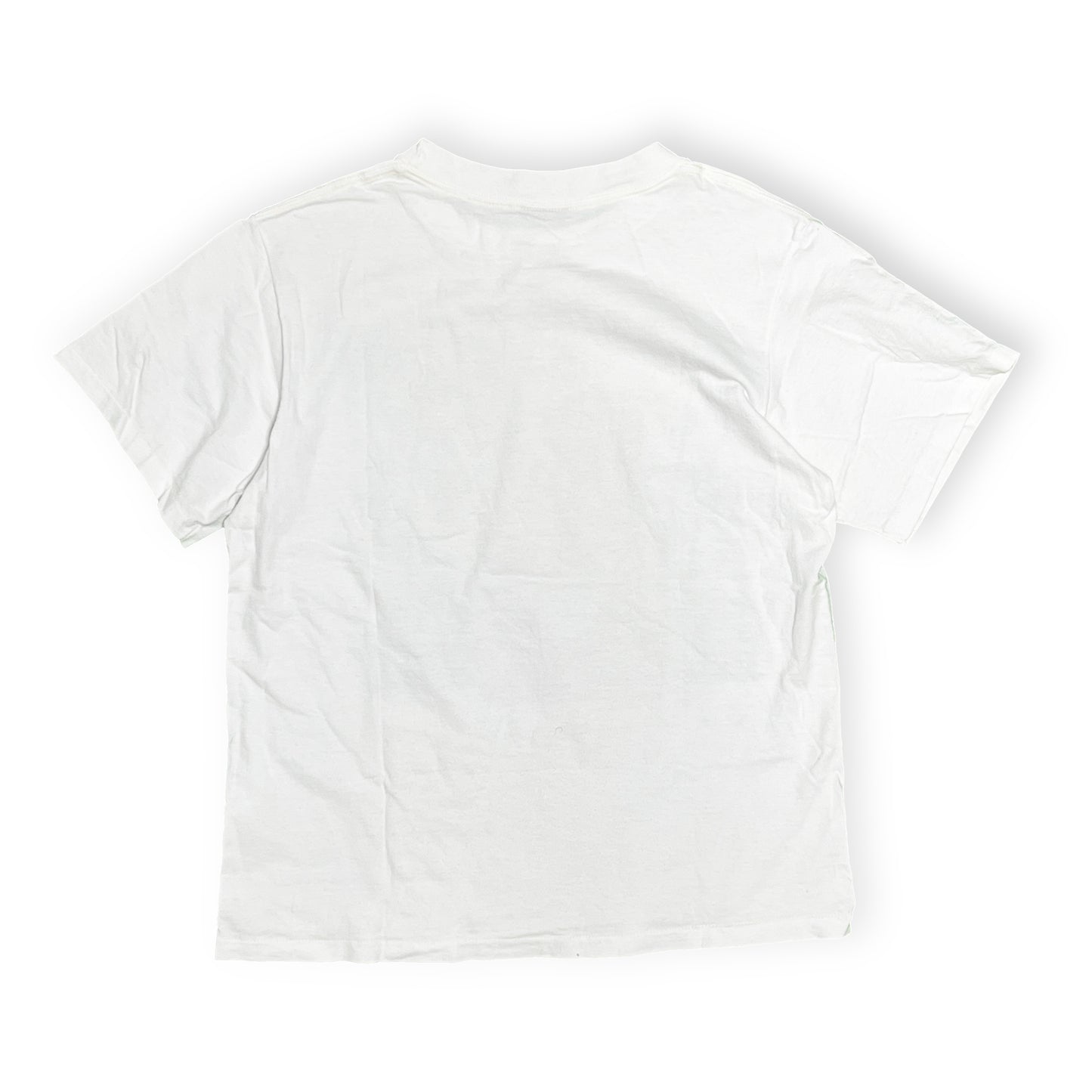90's Changes Kermit "Think Green" T Size (L)