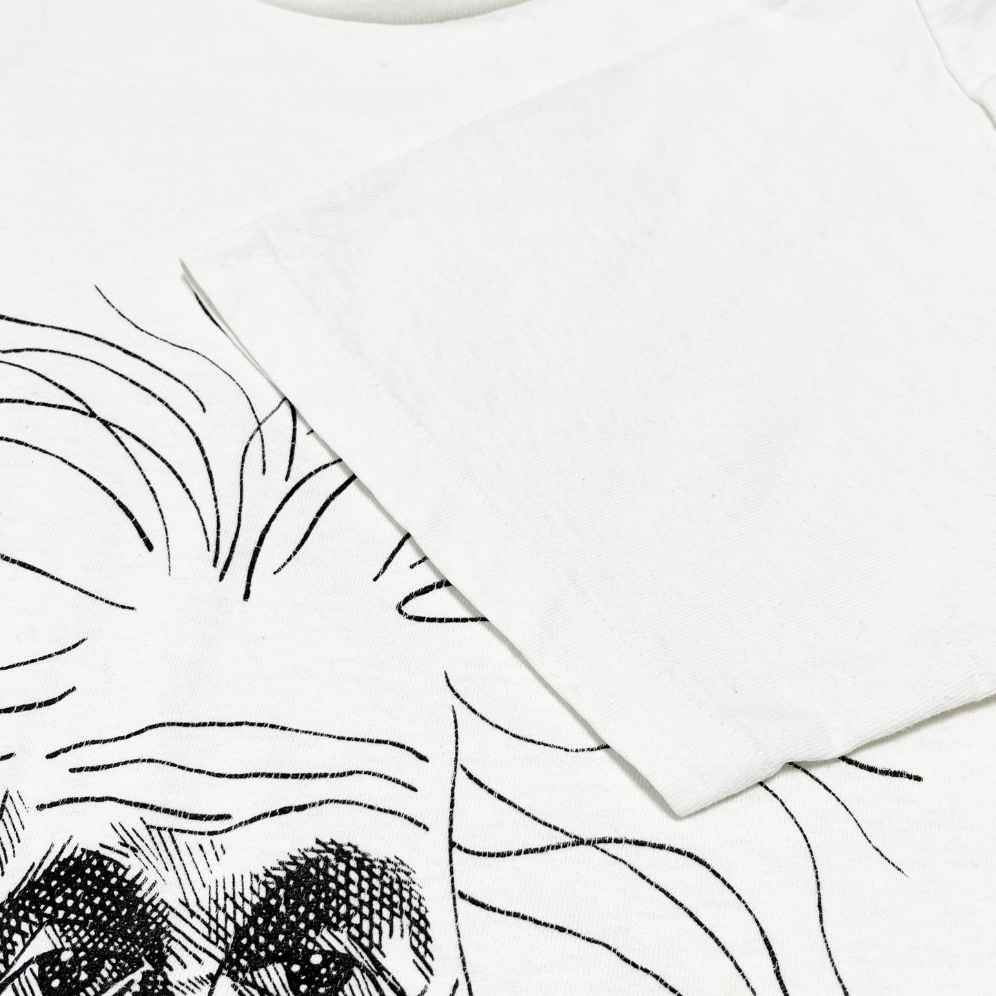 90's SOFFE SHIRTS Largely Literary Series "Albert Einstein" T Size (L)