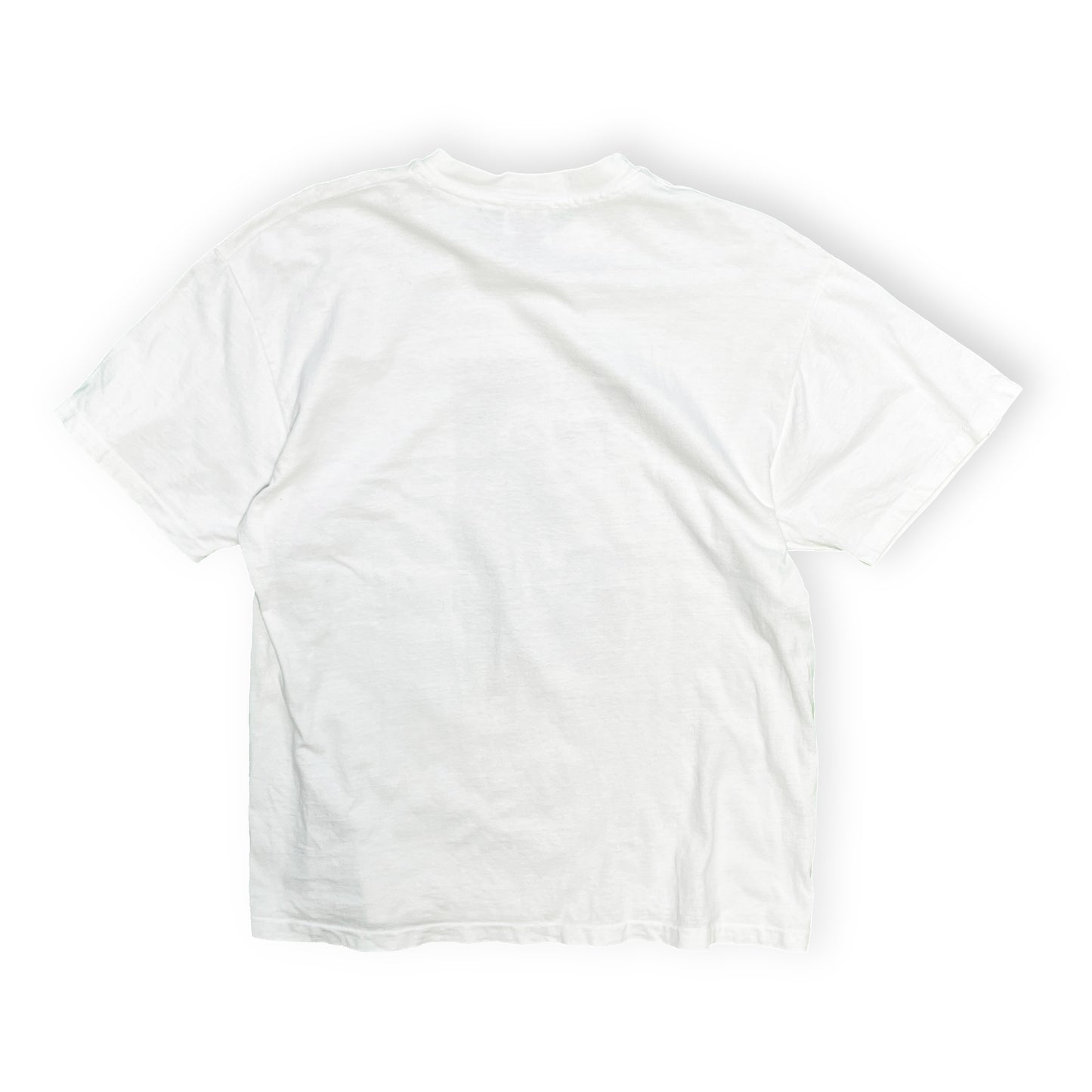 90's Hanes Largely Literary Series "Delmore Schwartz" T Size (L)