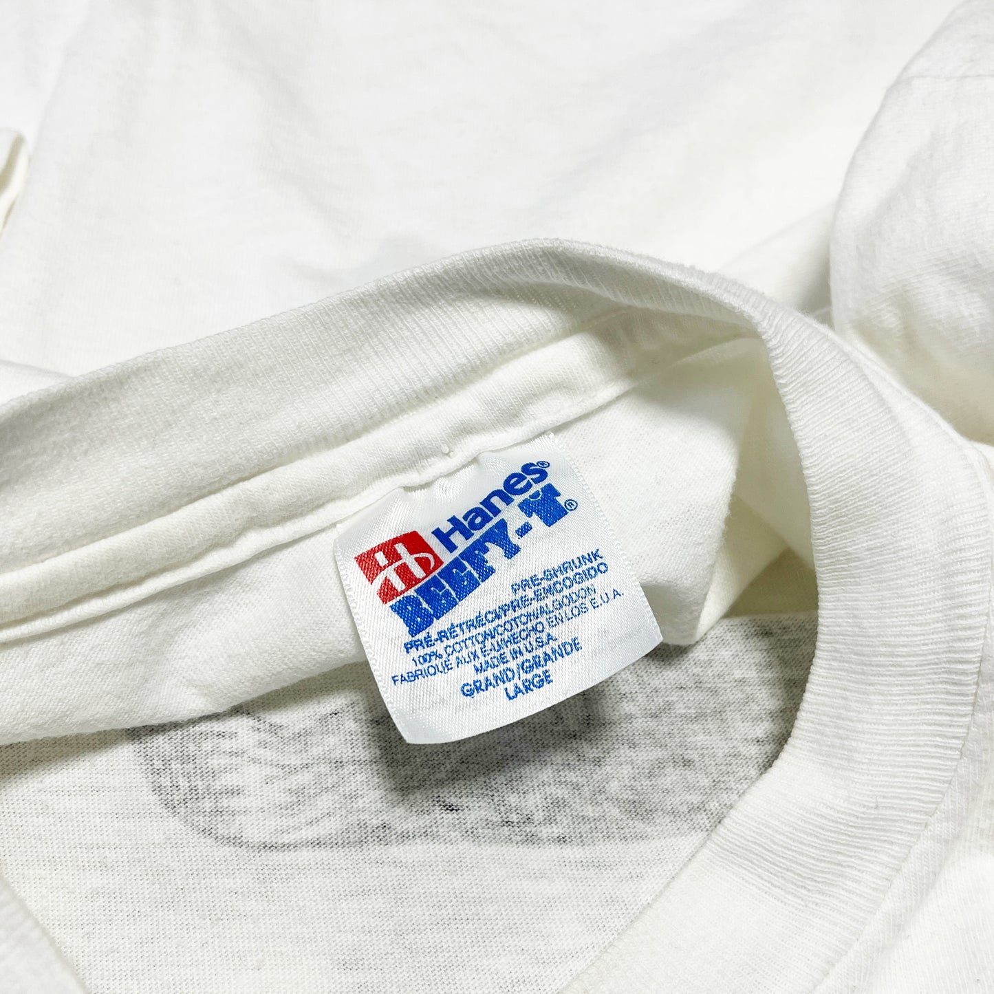 90's Hanes Largely Literary Series "Delmore Schwartz" T Size (L)