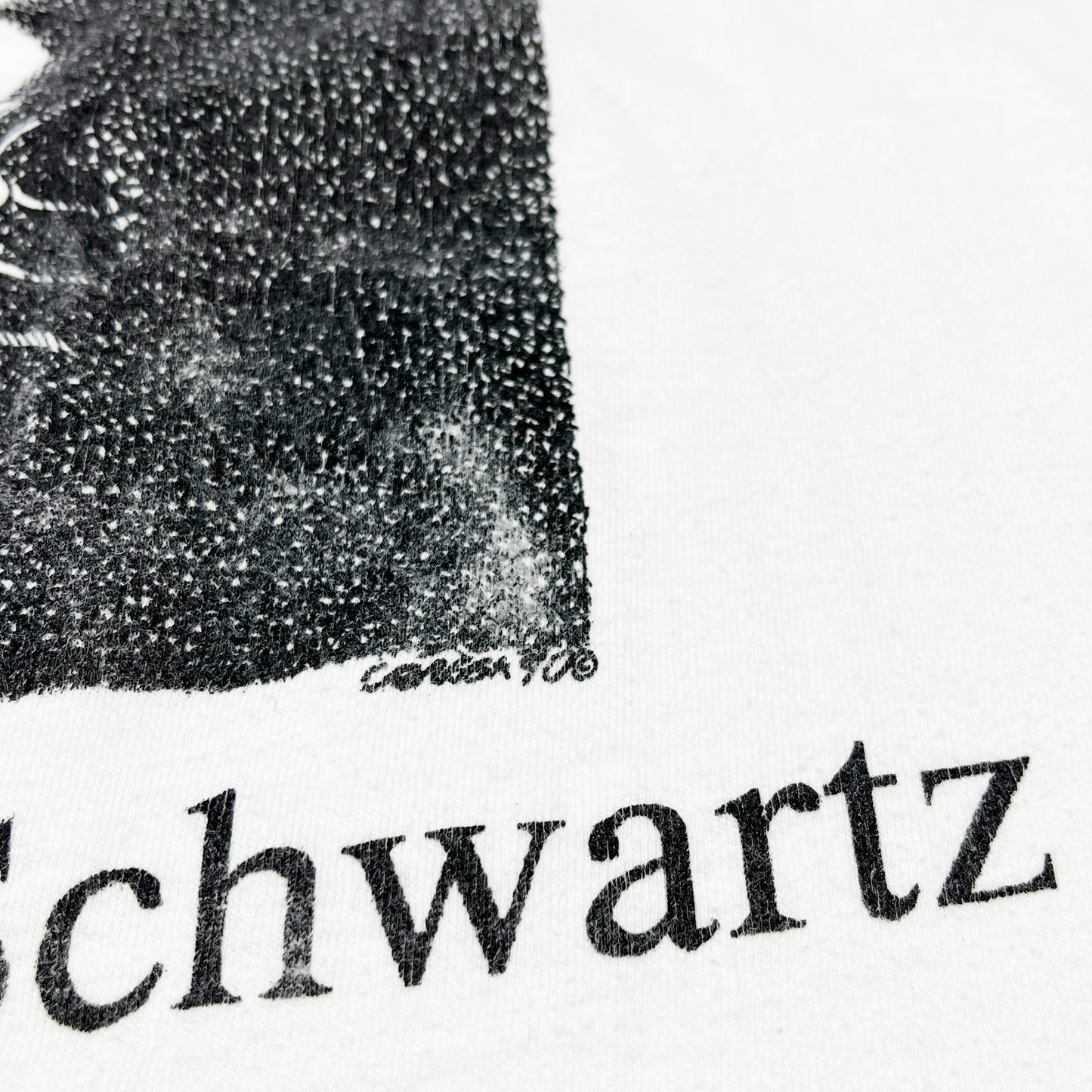 90's Hanes Largely Literary Series "Delmore Schwartz" T Size (L)