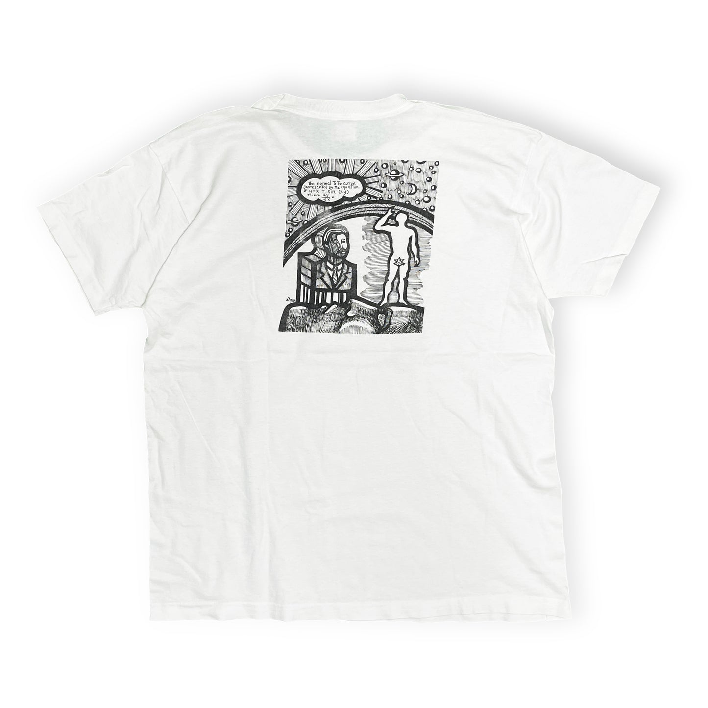 90's FRUIT OF THE LOOM d’Arcy Hayman "The Calculus Virgin" T Size (XL)